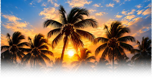 Sunset over a tropical forest with tall palm trees and colorful sky