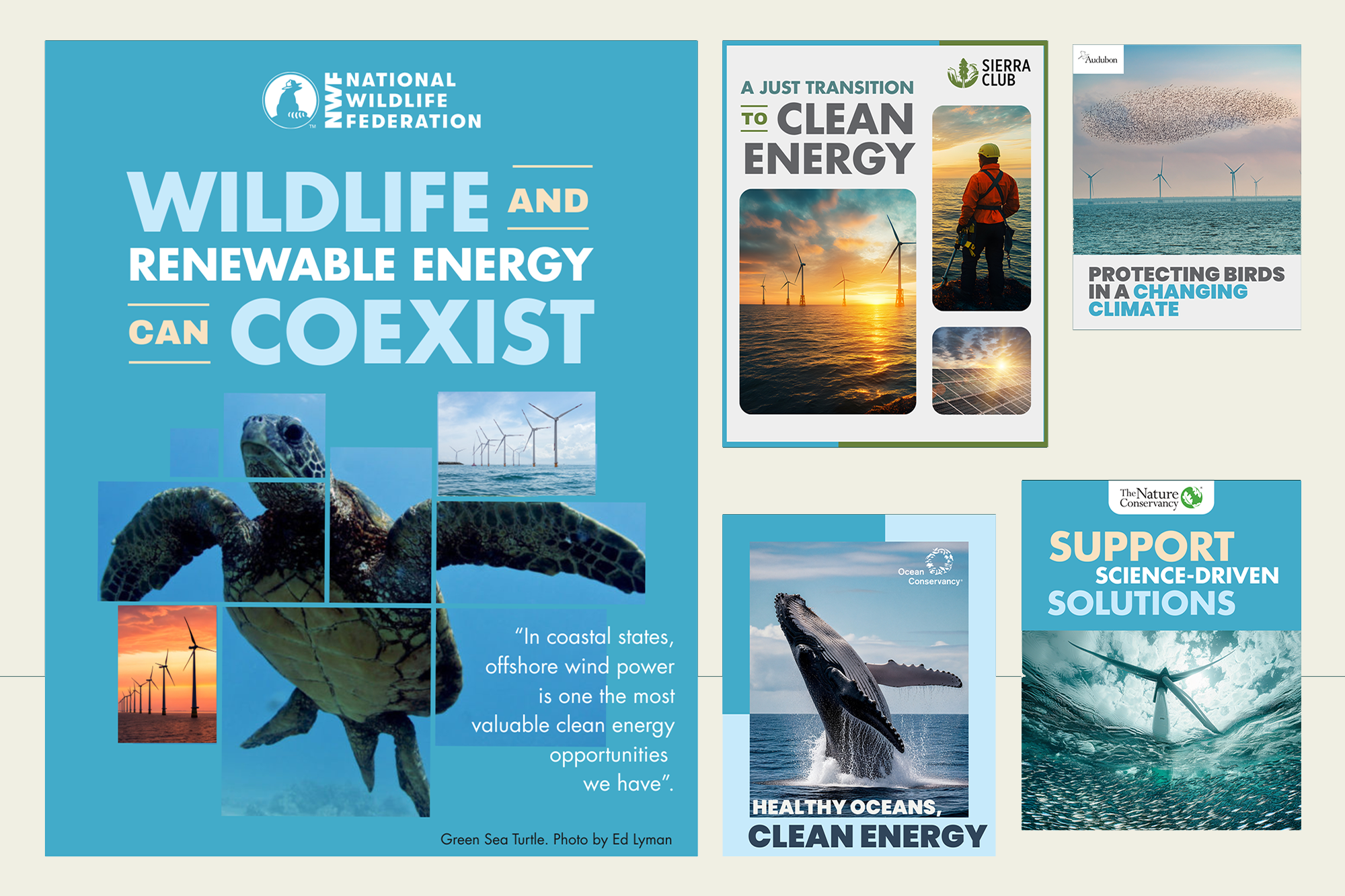 A collage of environmental and renewable energy images and posters promoting wildlife conservation and clean energy, including wind turbines, ocean scenes, a green sea turtle, and a whale, with text emphasizing coexistence of wildlife and renewable energy.