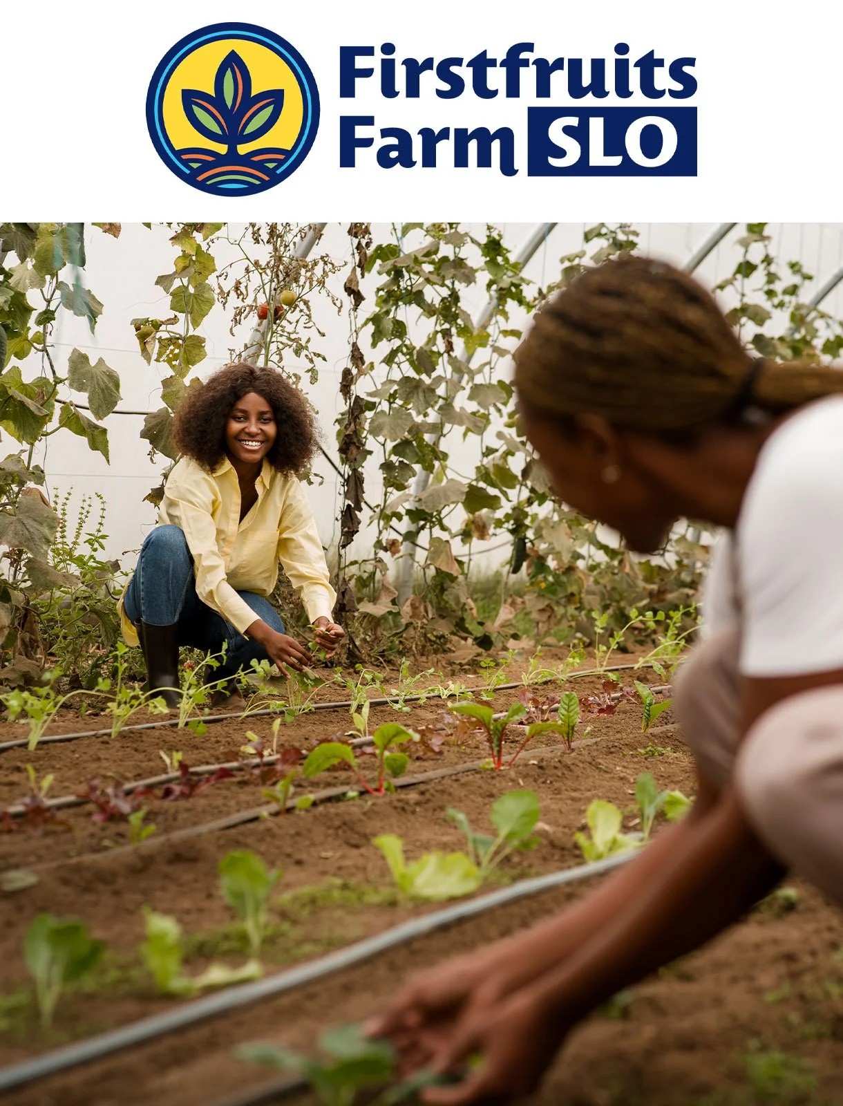 Mission-Driven Organizations