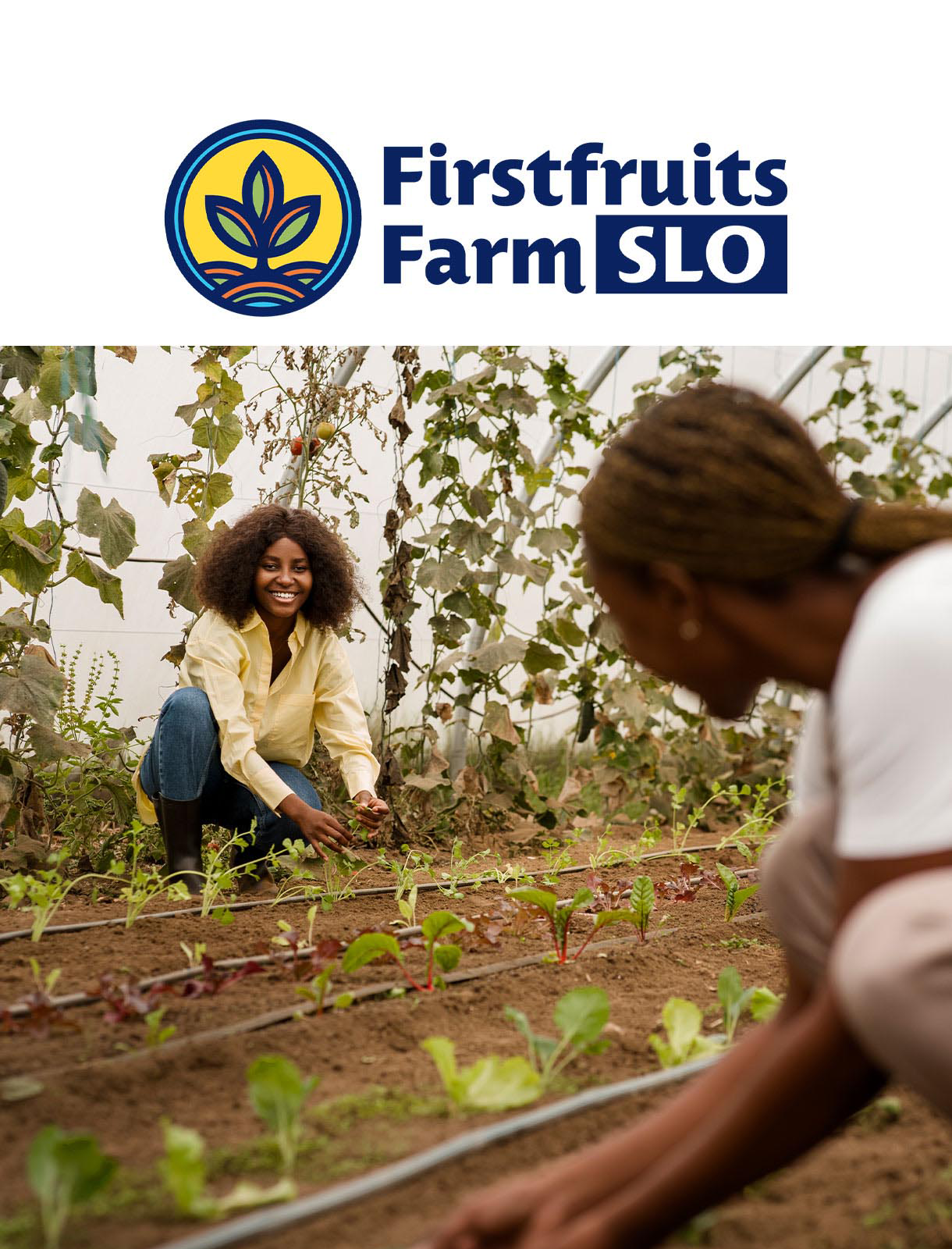 Mission-Driven Organizations