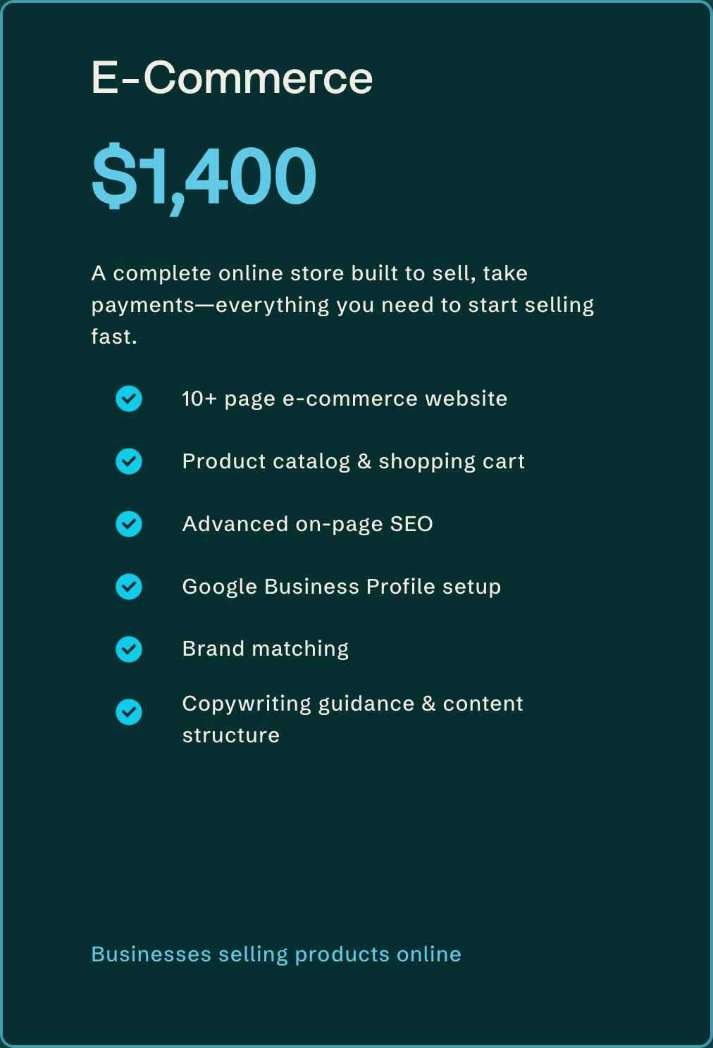E-commerce pricing and features, including 10+ page website, product catalog, advanced SEO, Google profile setup, brand matching, and content guidance.