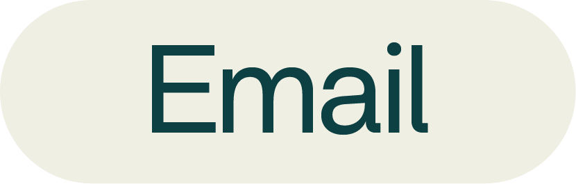 Gray oval button with the word 'Email' in dark teal font