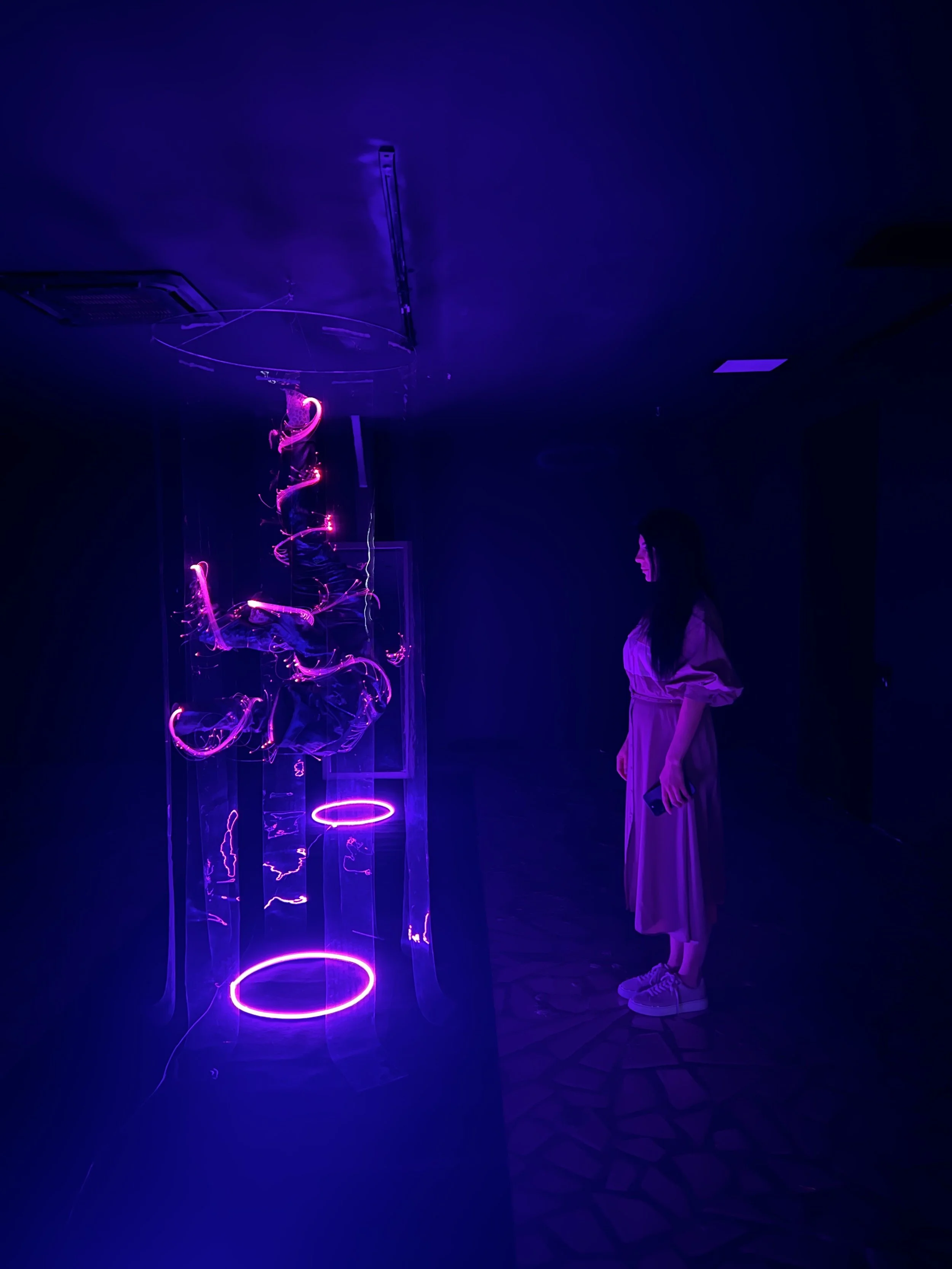 The Fall -  Installation