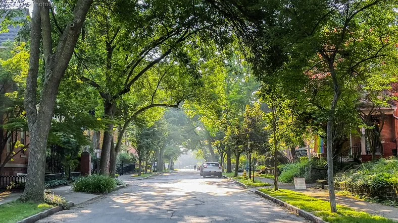 In Which Natalie Realizes She Might Need Therapy