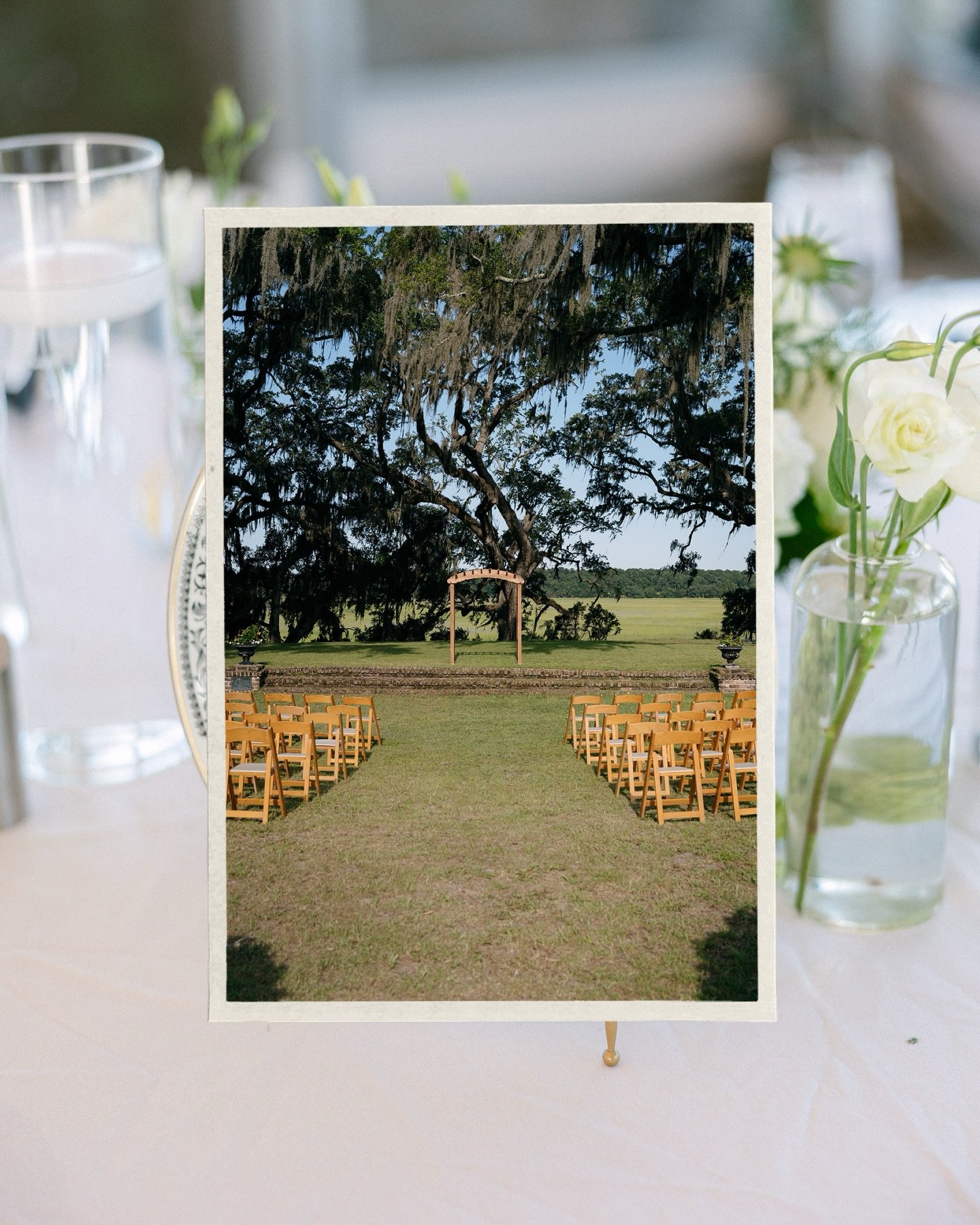 Fall wedding dates are now booking for 2026 🍂

If you&rsquo;re dreaming of an outdoor ceremony, a timeless setting, and a wedding day that feels calm, organized, and completely seamless, now is the time to secure your planner.

1137 Events is a Lowc