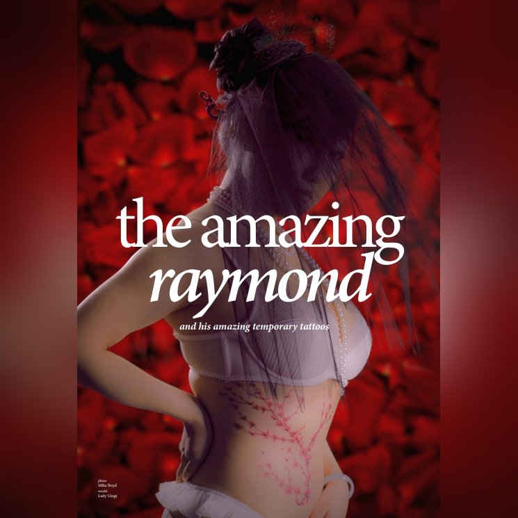 The amazing raymond Lady Usagi.jpg