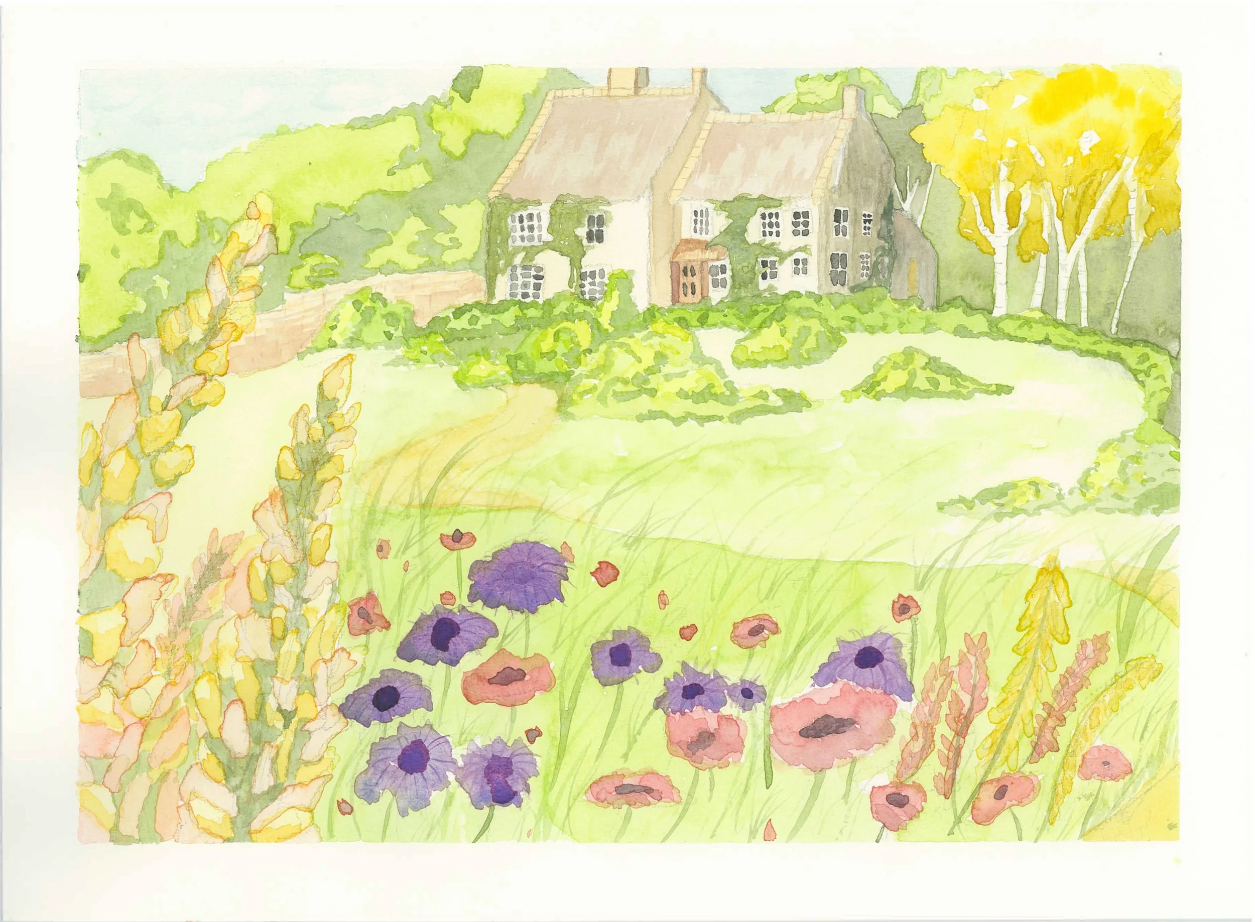 Watercolor on Cotton Paper