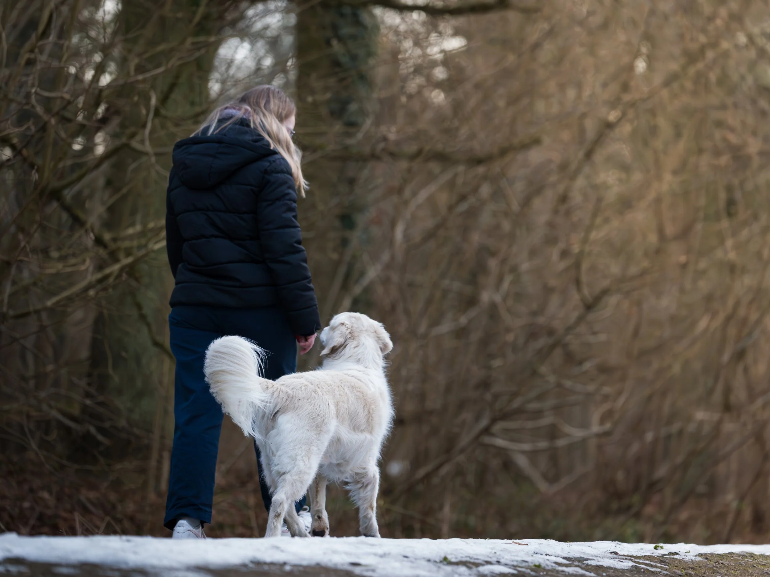 Eine Frau mit dunkler Jacke und Jeans steht neben einem weißen Hund in einer Winterlandschaft mit Bäumen im Hintergrund.