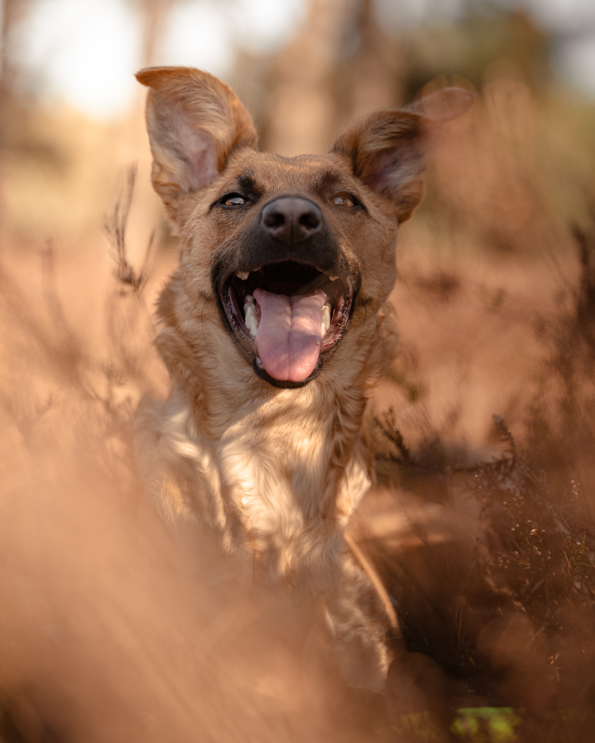 Design ohne Titel-4.png