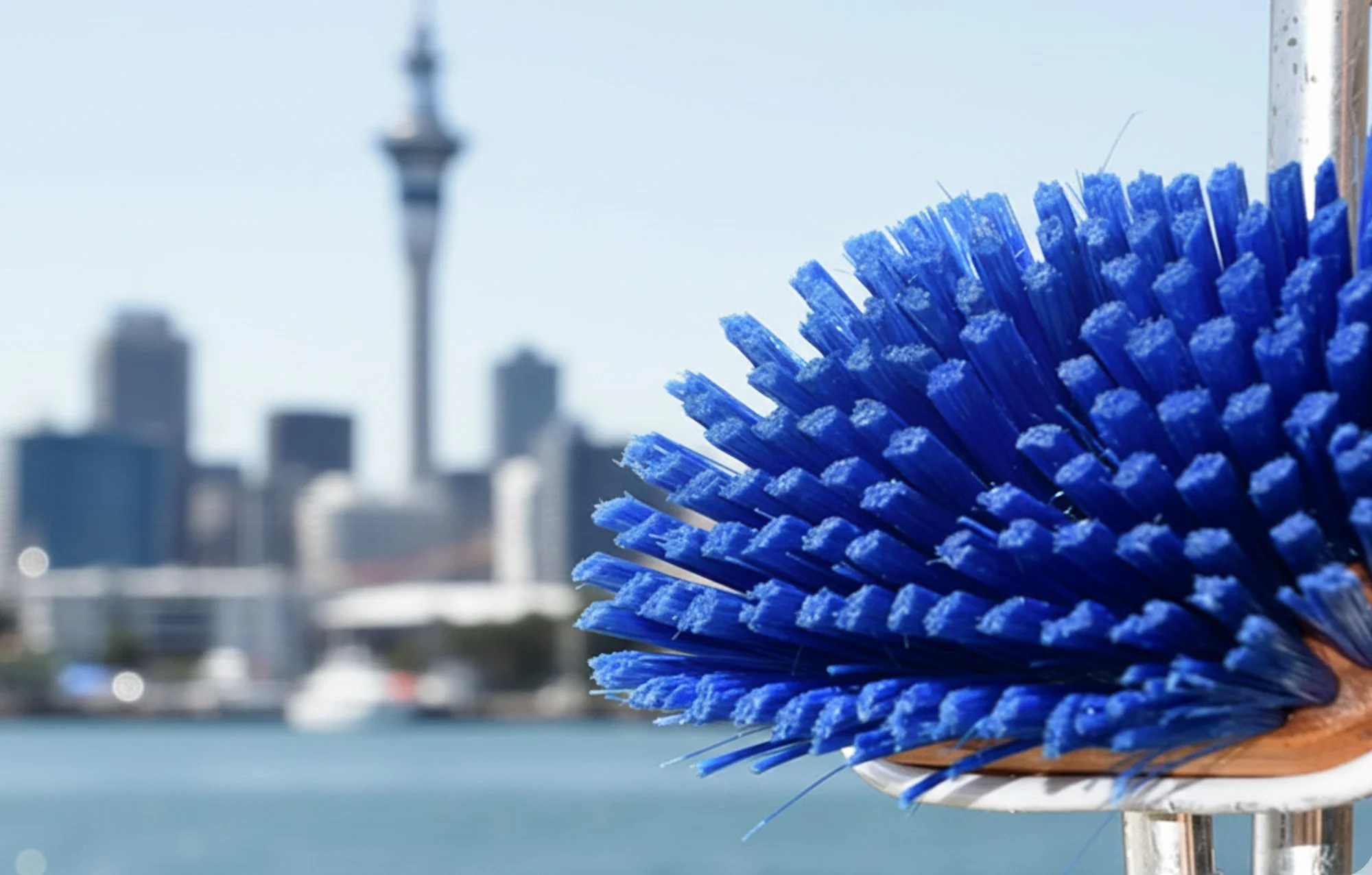 Close-up of a blue and white brush with a city skyline and a body of water in the background.