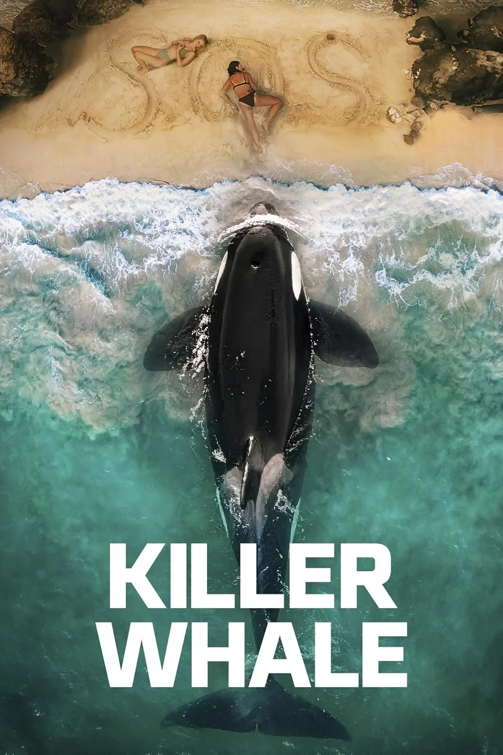 killerwhale.jpg