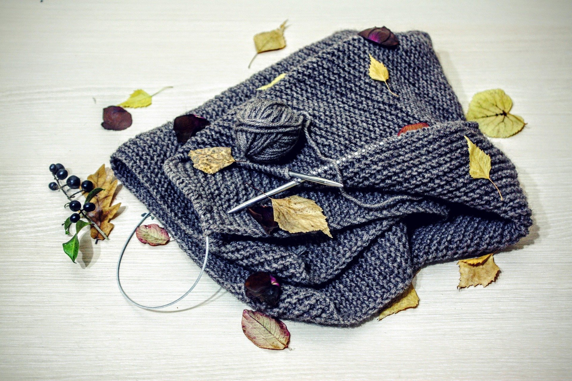 742787-autumn-1017519_1920.jpg