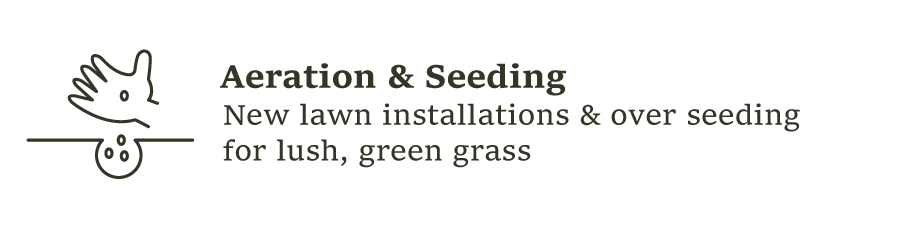 Aeration & Seeding
