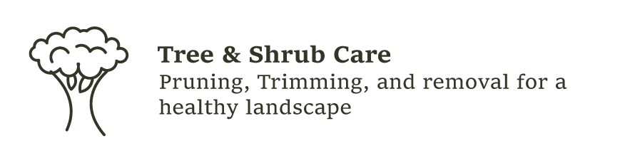 Tree & Shrub Care