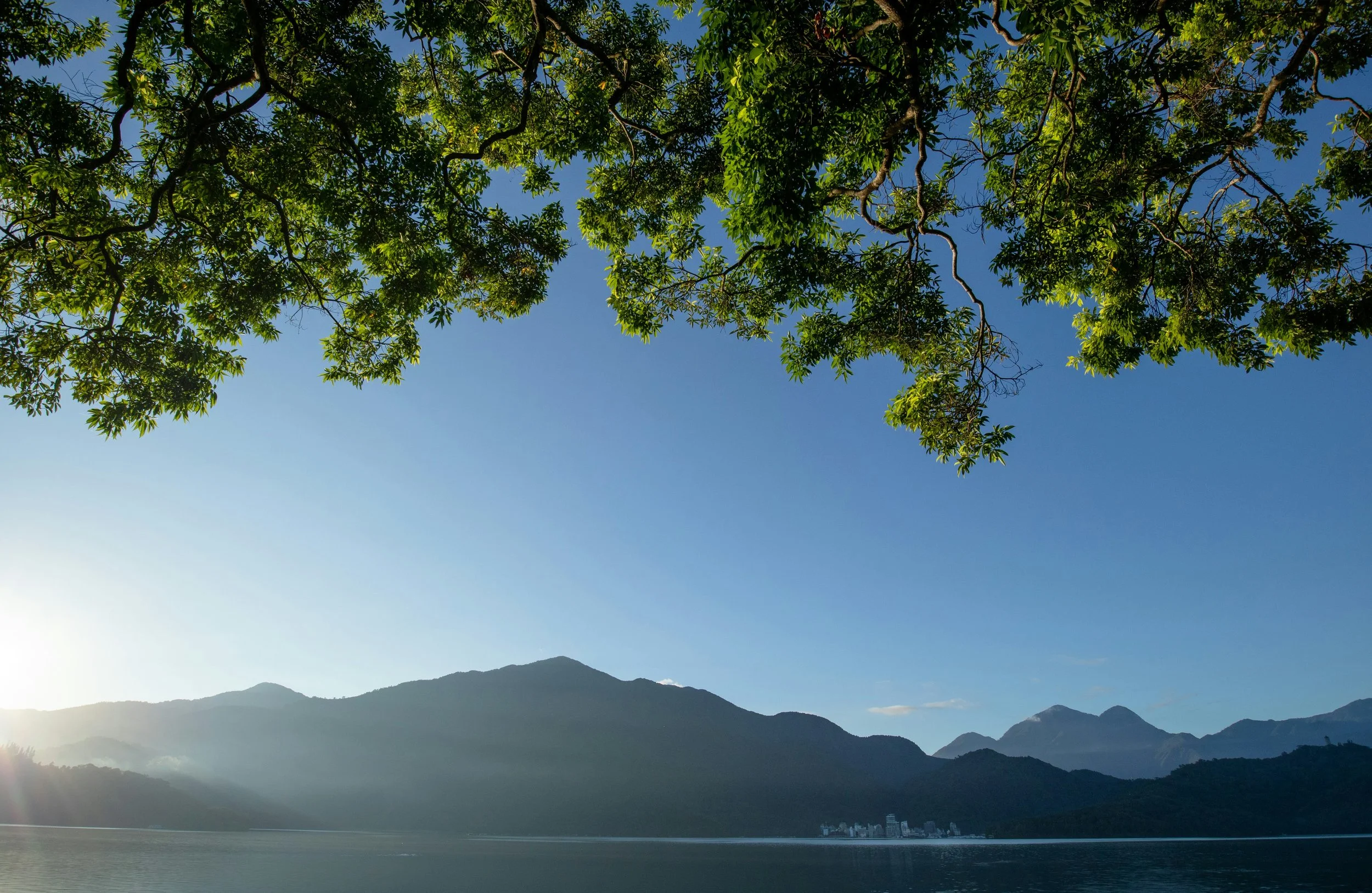 Scenic view of a lake with mountains in the background and green tree branches overhead during the daytime.