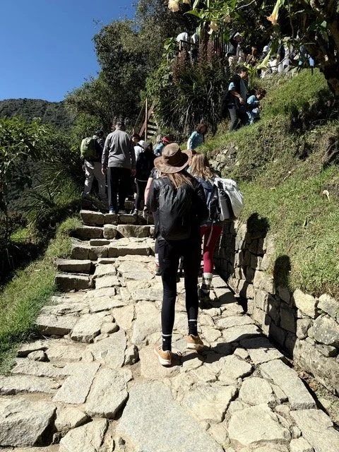 People hiking up stone steps on a trail surrounded by greenery and trees.