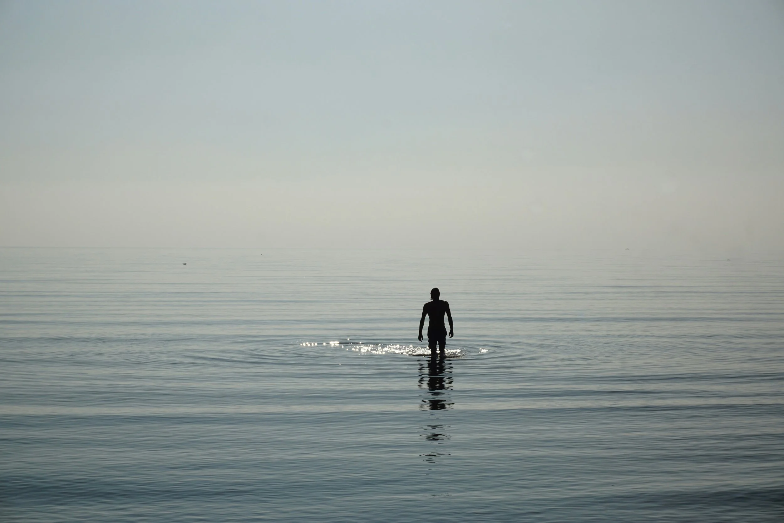 A person standing in calm ocean water, facing away, with a foggy horizon in the background.