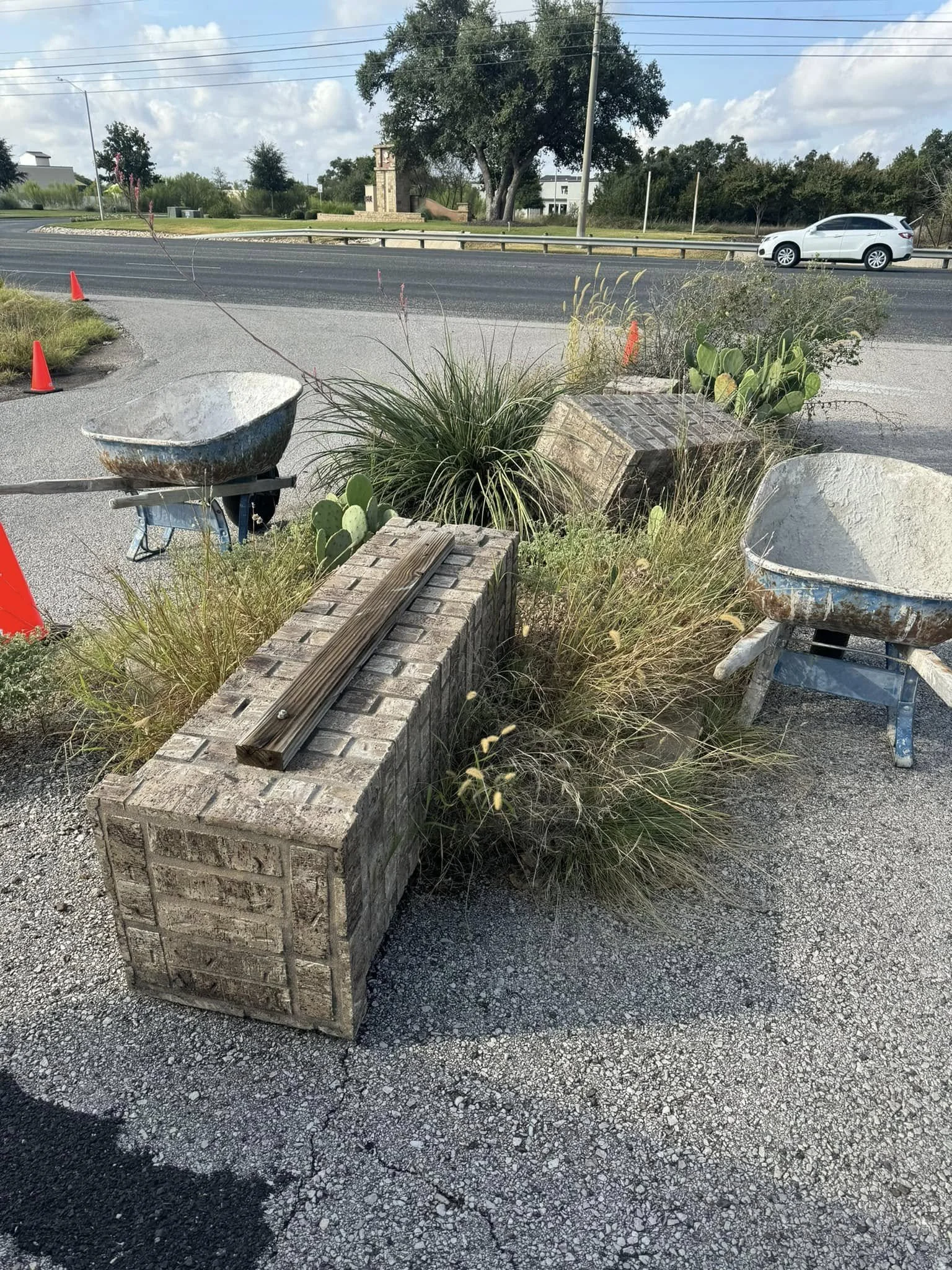 A sidewalk with two wheelbarrows, orange traffic cones, and overgrown grass and cacti near the street. There are trees, a building, and a car in the background.