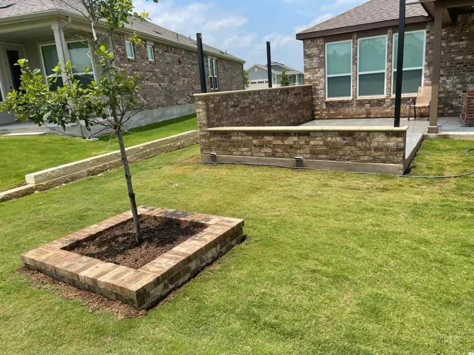 A backyard with a freshly planted young tree in a brick-bordered bed, green grass, and a raised patio with brick walls attached to a house with large windows.
