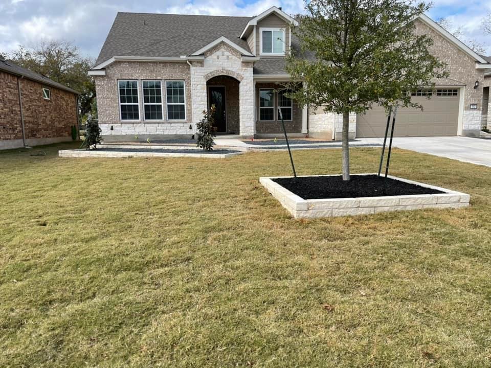 Front yard of a house with a tree in a raised flower bed and a well-maintained lawn.