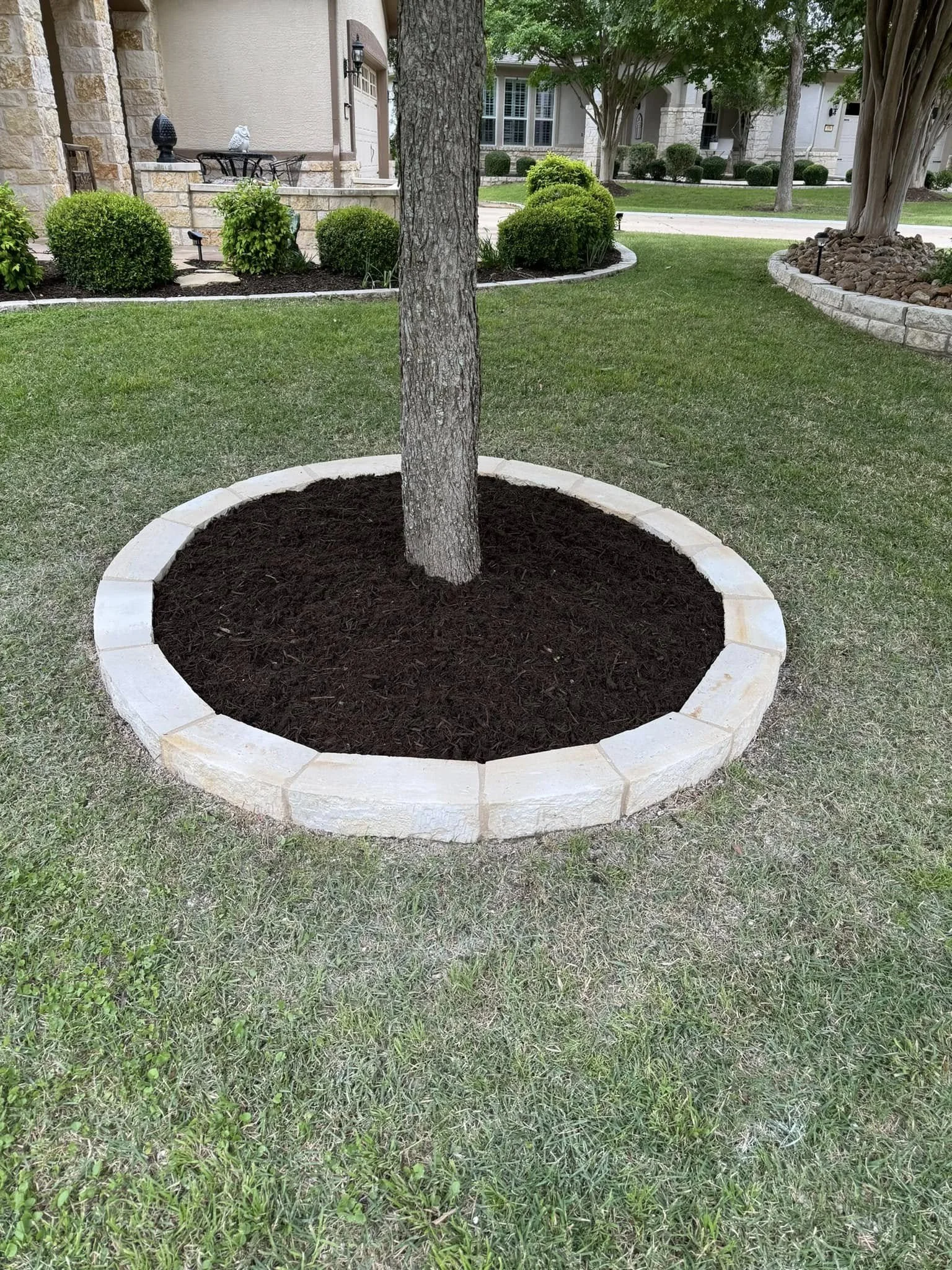 A tree planted in a circular bed with new mulch, bordered by beige stones, in a well-maintained front yard of a residential area with houses and green lawns.