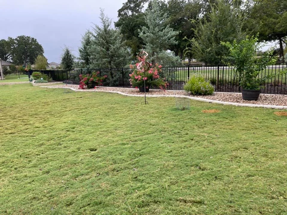 A landscaped backyard with a lush green lawn, a black metal fence, decorative bushes, flowers, and trees.