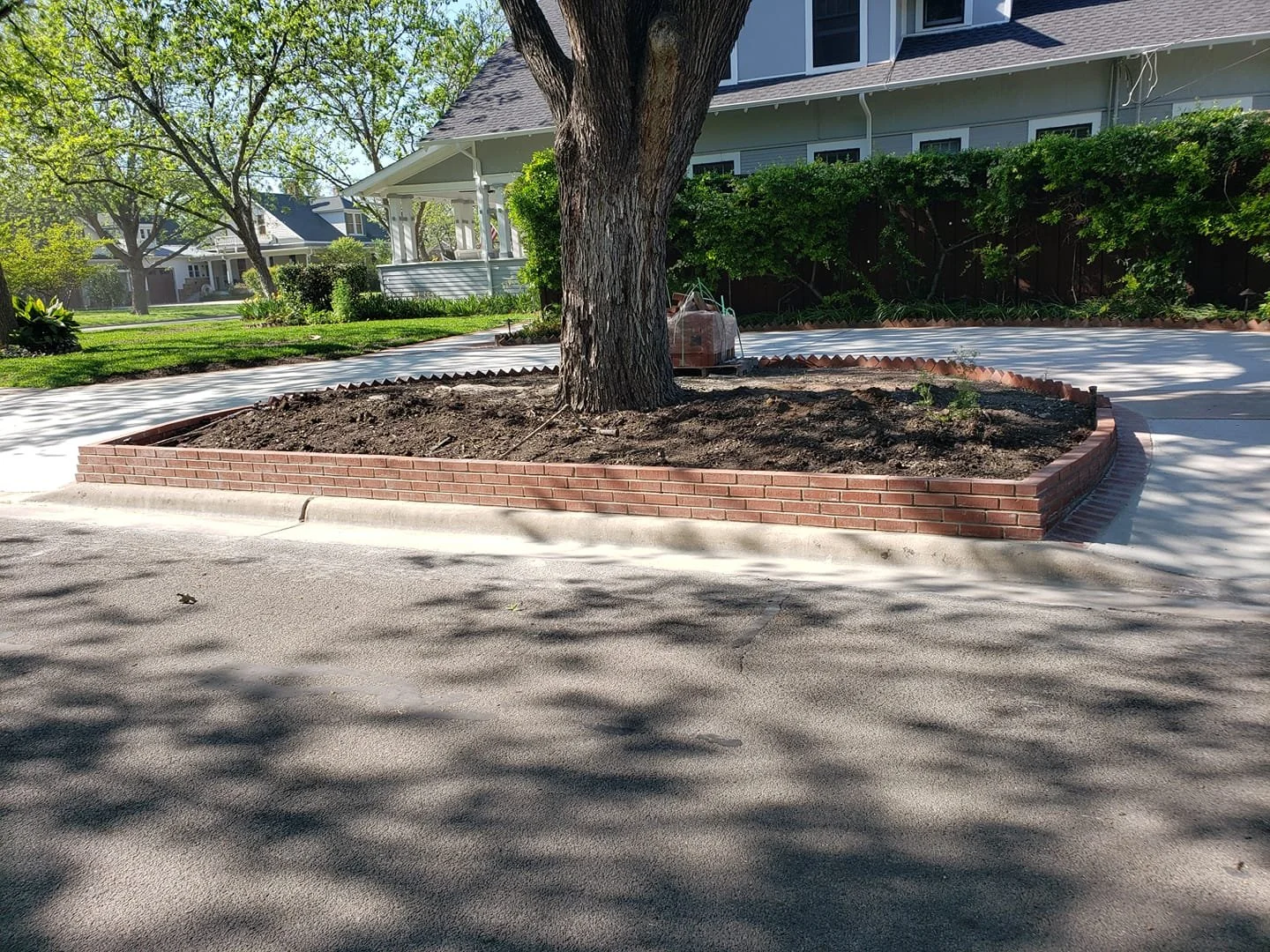 A tree planted in a landscaped brick-walled bed in a residential neighborhood, with a sidewalk curving around it. The yard has green grass, trees, and shrubs, and there are houses in the background.