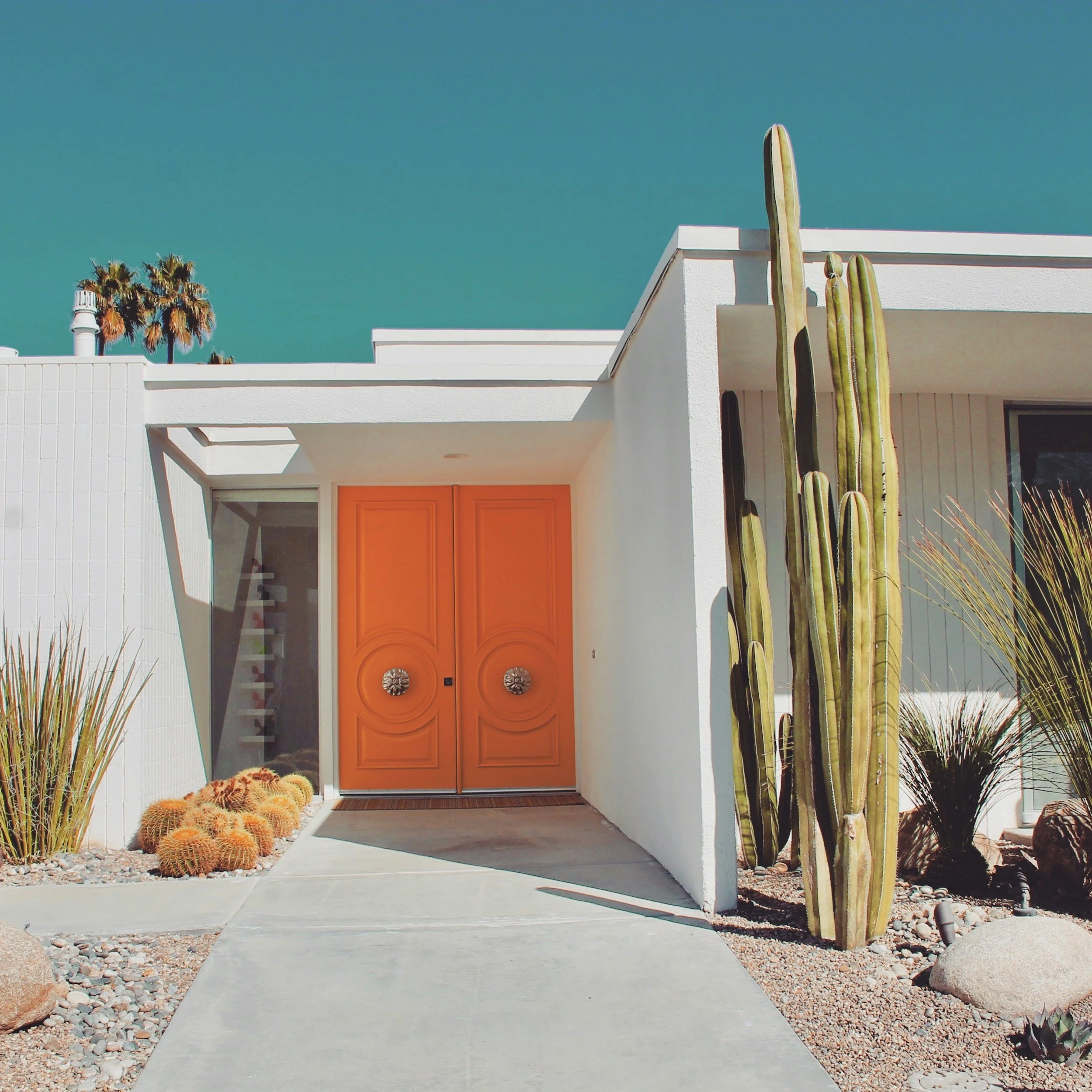 Palm Springs Party