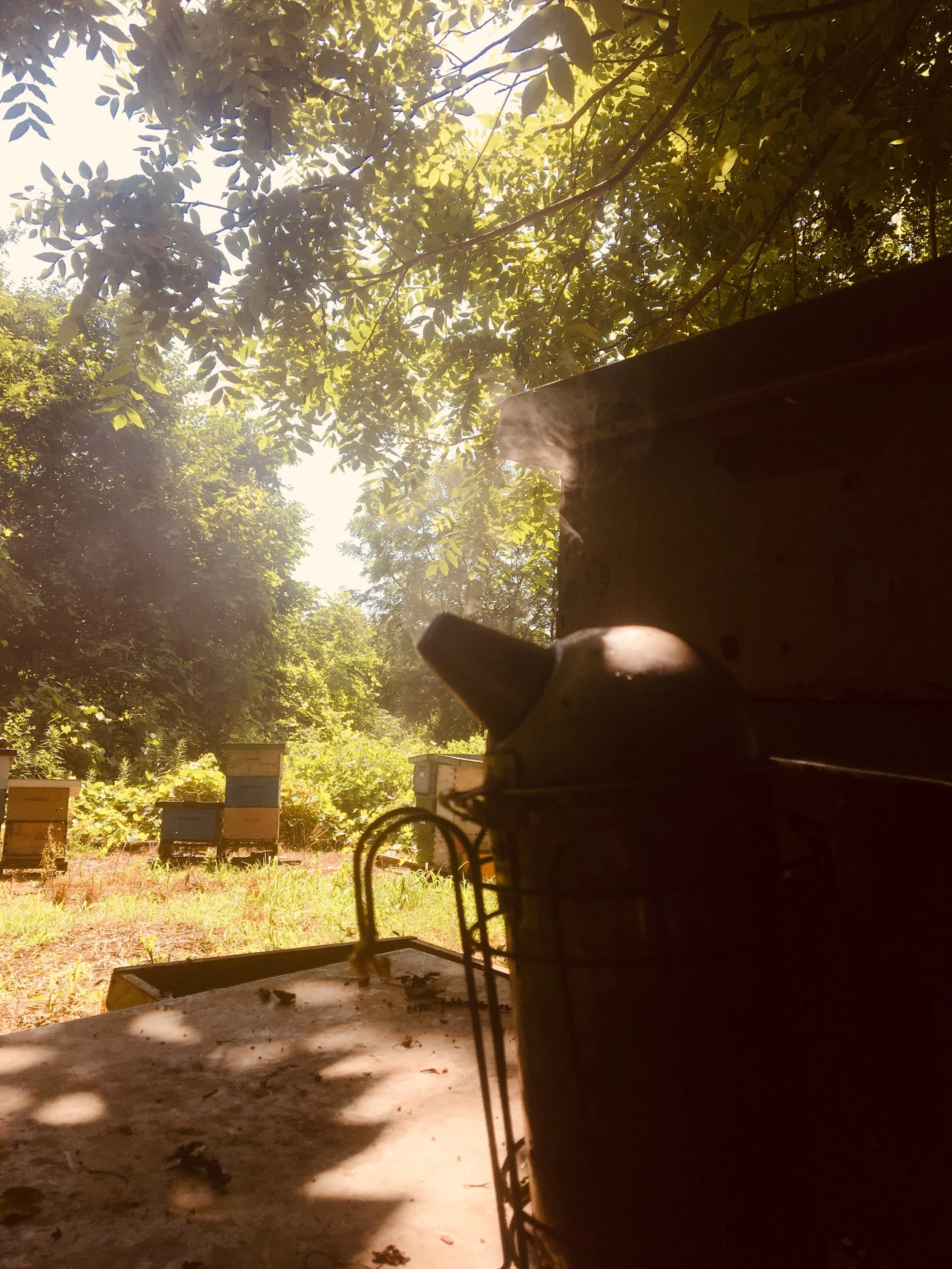 Smoke rising from a chiminea outdoors with bee hives in the background, surrounded by trees and sunlight filtering through leaves.