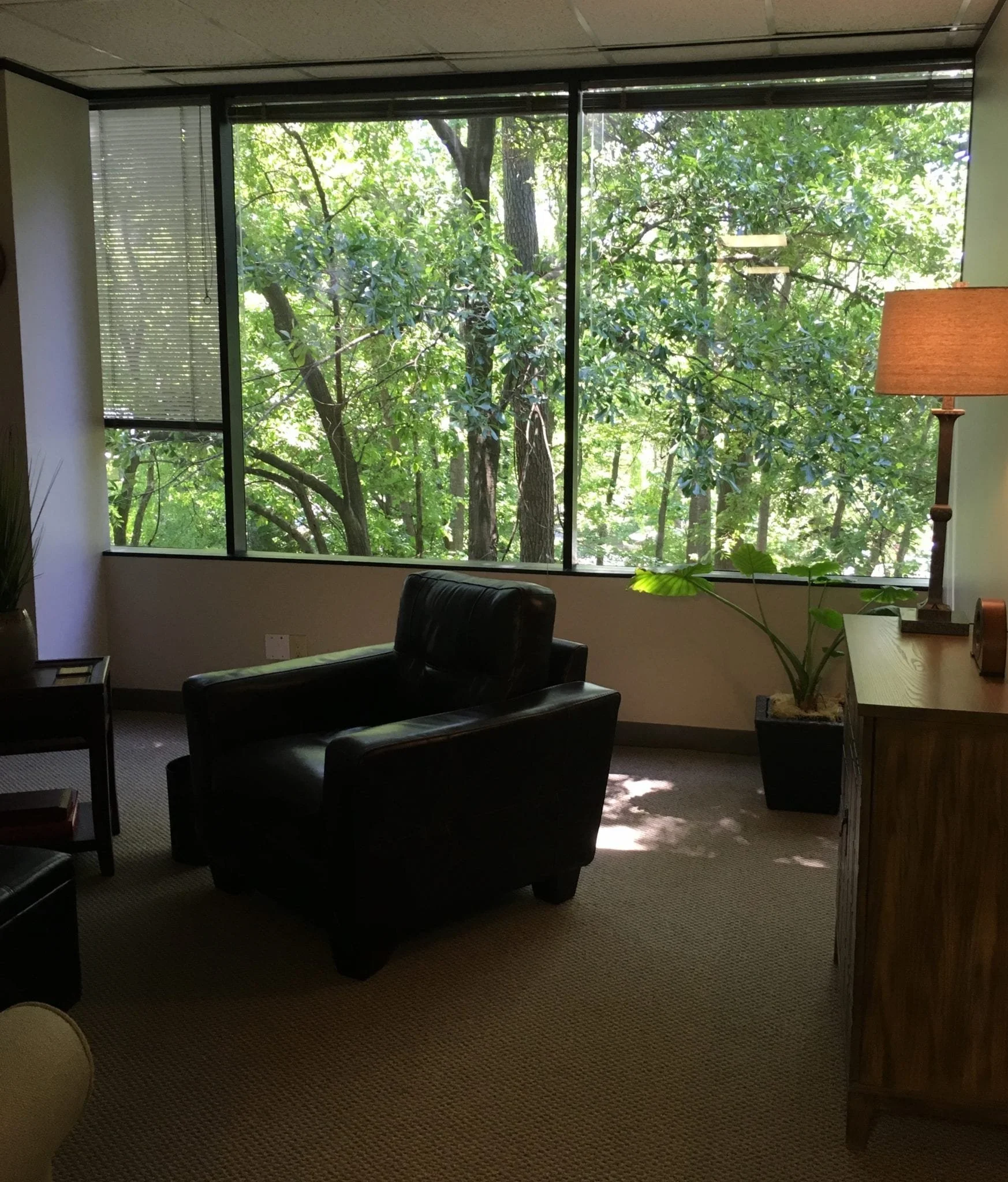 Hypnotherapy Houston