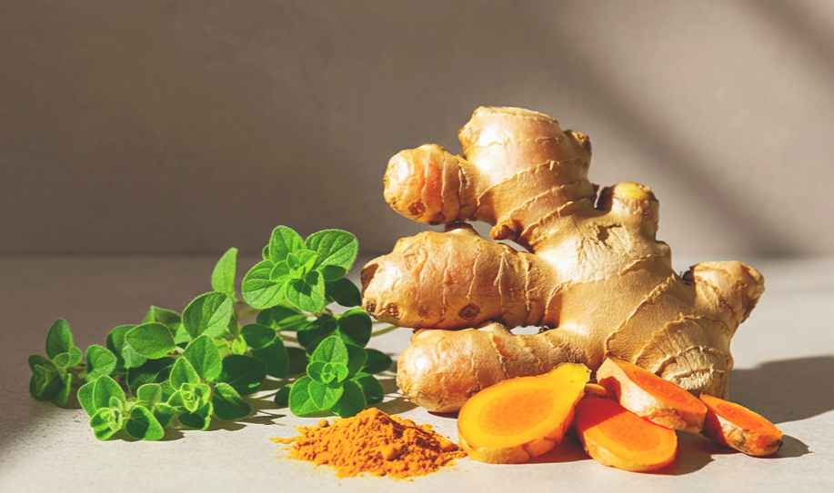 Ginger root, turmeric powder, sliced ginger, and fresh oregano on a neutral surface.