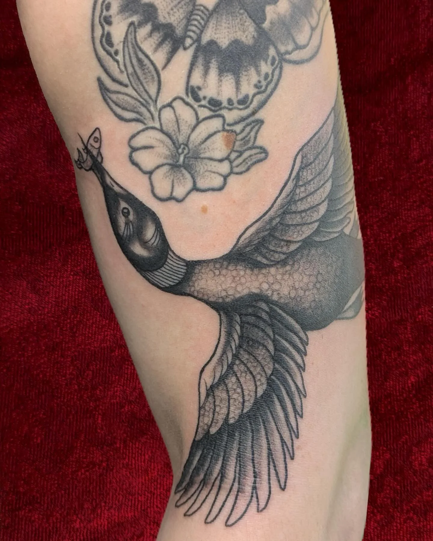 loon addition to @fathenartistry sleeve🌱 
Tysm for looking ❣️
&bull;
Booking for @damagedlegacystudios for May + June💘
&bull;
🌟UPCOMING TRAVEL🌟
The Harvest GUESTSPOT Hagerstown, MD - 5/19-22
Scarlett Rose Tattoo Parlor GUESTSPOT Warwick, RI - 6/2