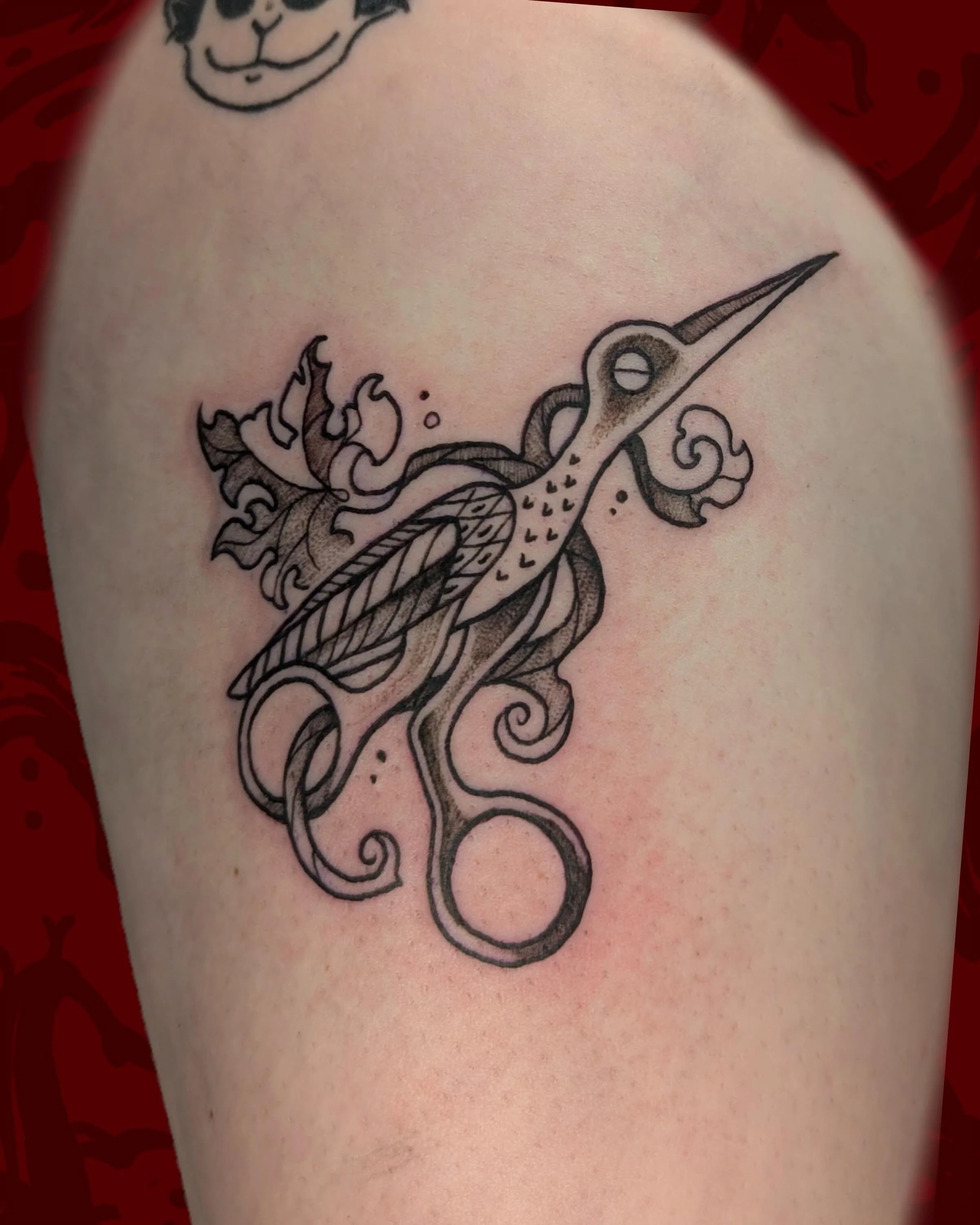 adelaide&rsquo;s scissors 🪽✂️

I have some time this week to tattoo! Check out my channel for updates and availability!