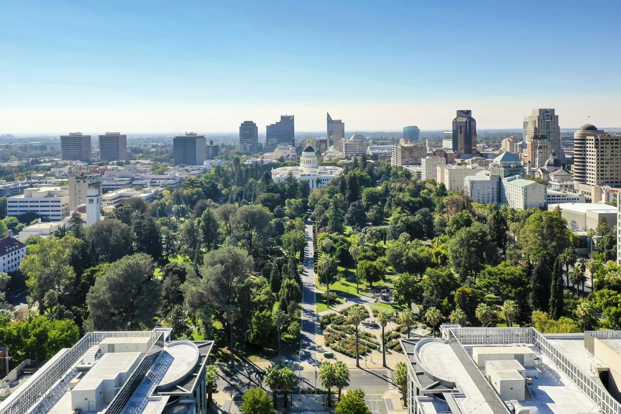 tree lined streets looking towards downtown sacramento