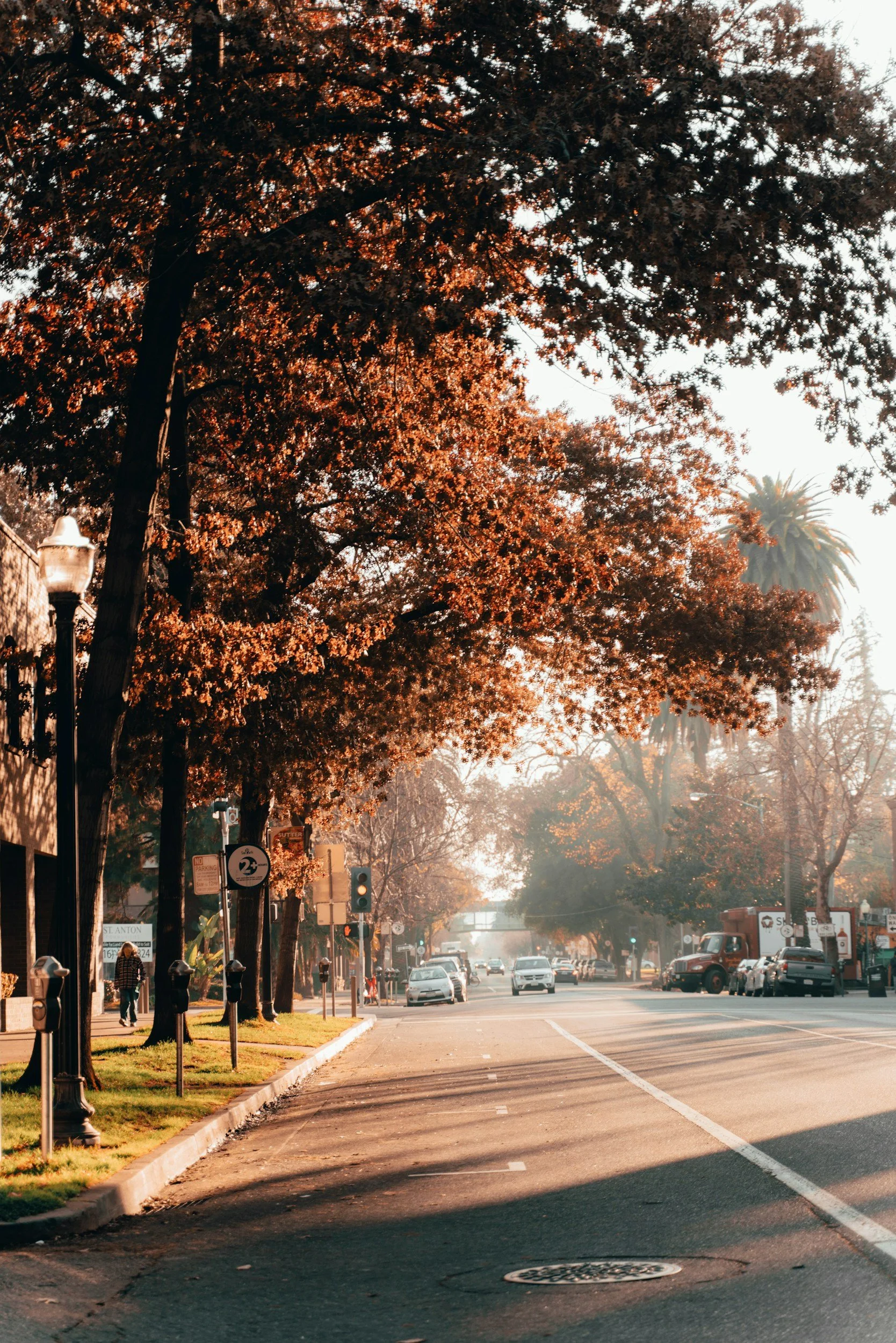 Image showing trees representing buying real estate in sacramento california