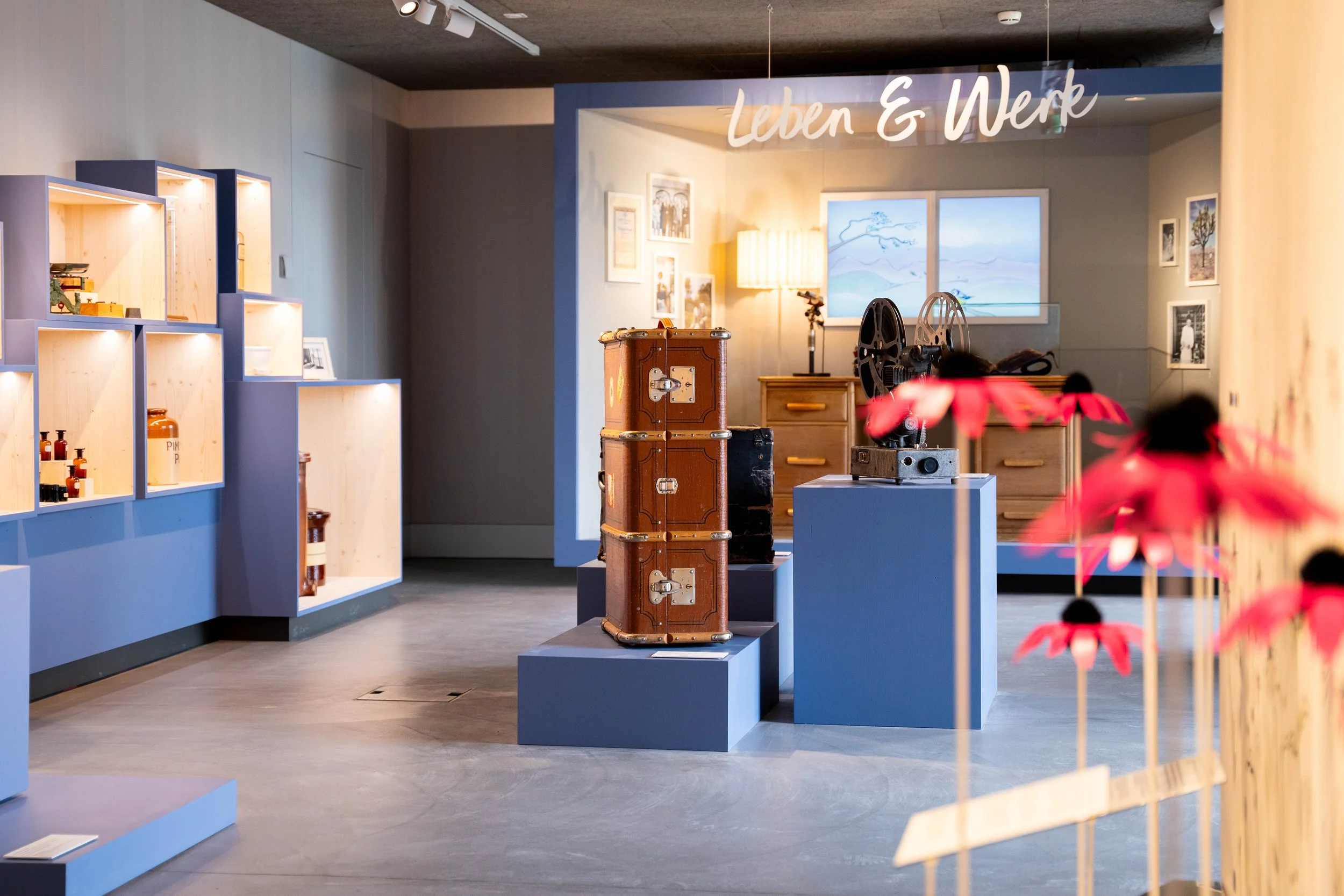 Museum exhibit with vintage travel trunks, film projector, and display cases, with a sign reading 'Leben & Arbeit' and pink flowers in the foreground.