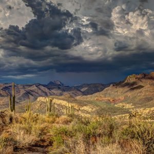 Desert landscape with cacti, rugged mountains, and dark storm clouds overhead