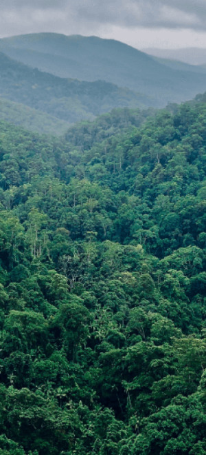 Lush green forested mountains under a cloudy sky.