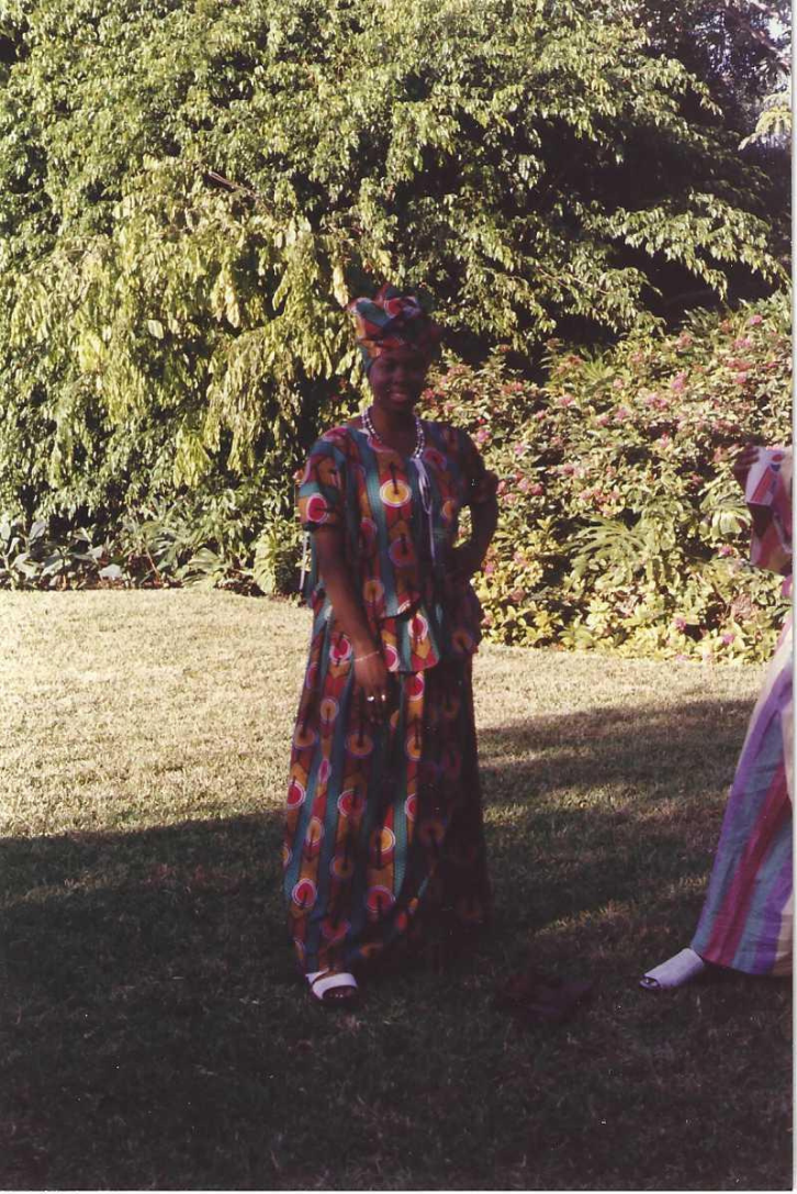 SANI (Suriname American Network Inc.)