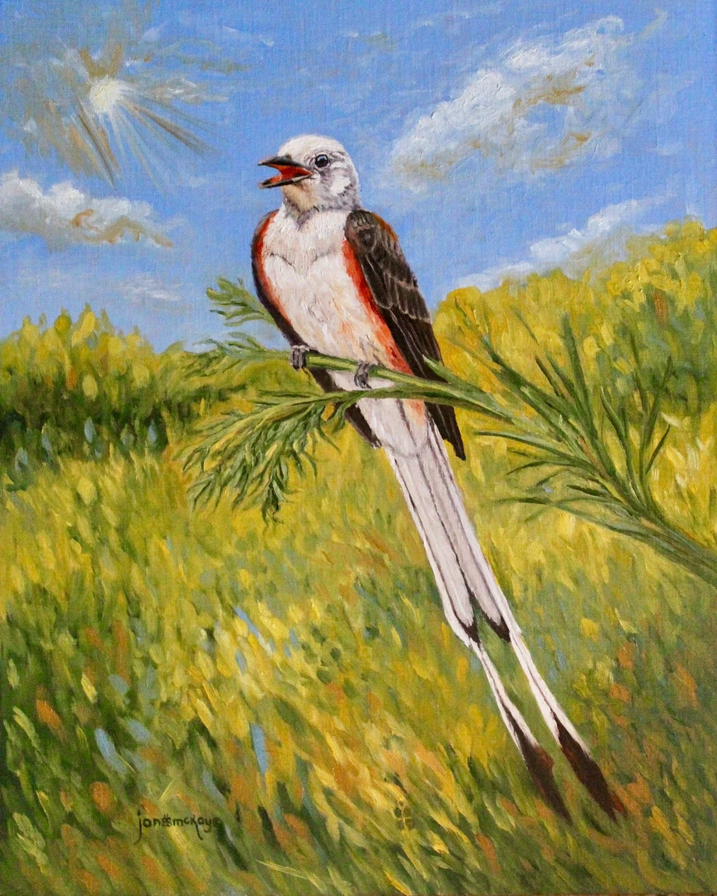 Jan McKay
