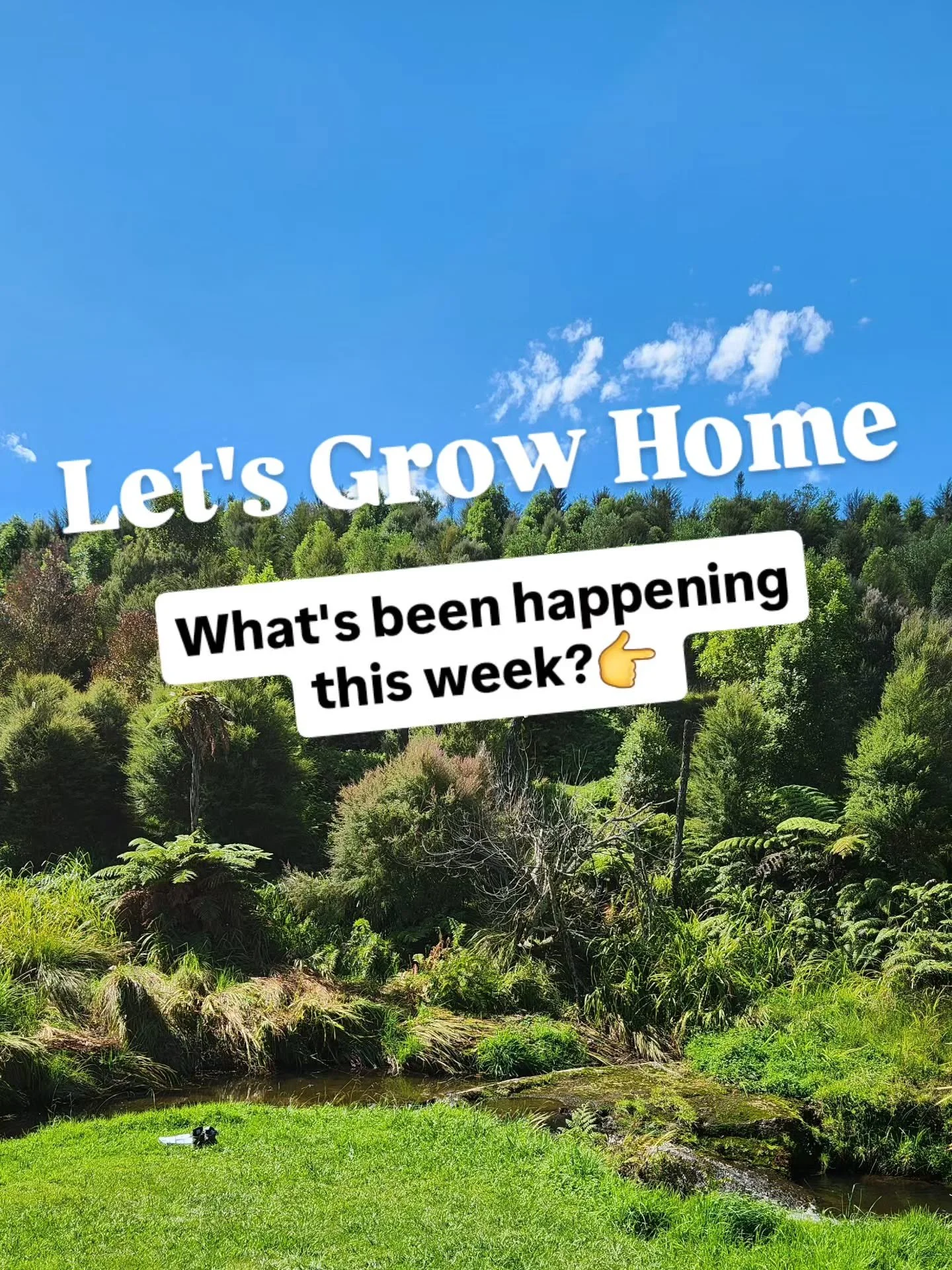 Here&rsquo;s what&rsquo;s been happening this week 🌿

March has been an incredible month for people stepping into growing their own food. There&rsquo;s been a real shift, and I&rsquo;m feeling deeply grateful to everyone who has trusted me to build 