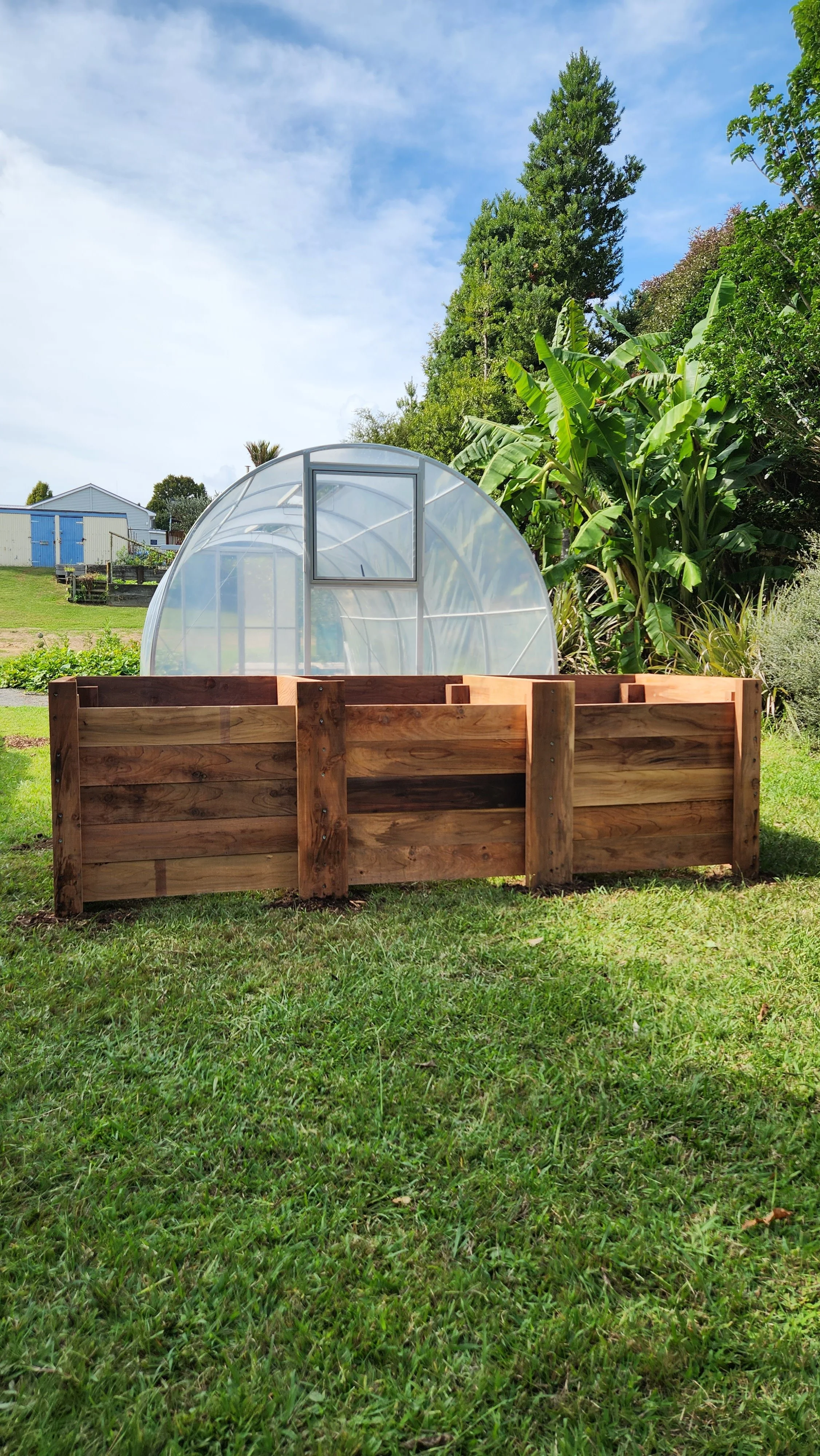 A wooden garden bed with a greenhouse behind it, in a grassy yard with trees and buildings in the background.