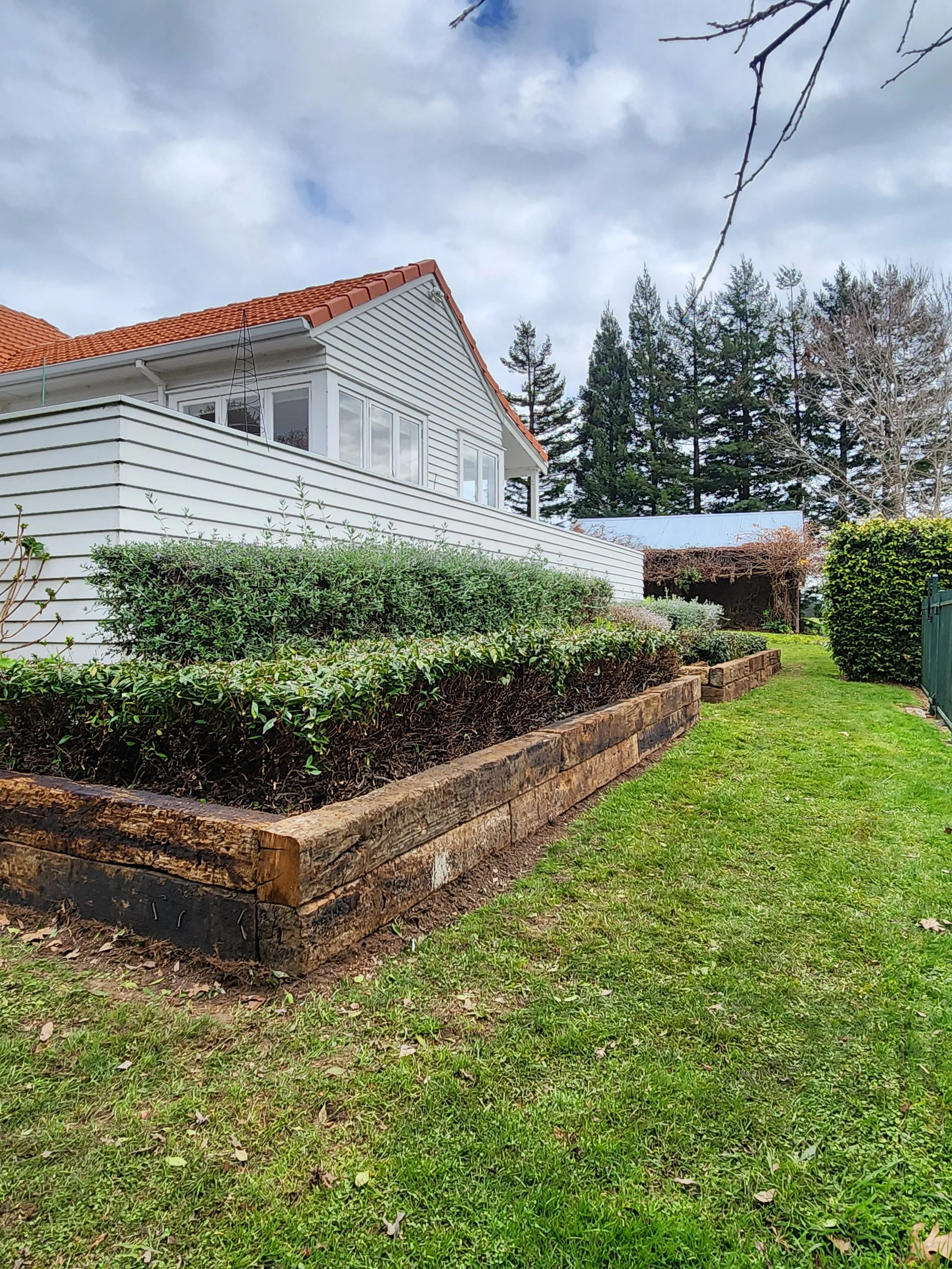 A backyard garden with a brick flower bed and an overgrown hedge against a house with white siding. There is a grassy lawn and trees in the background.