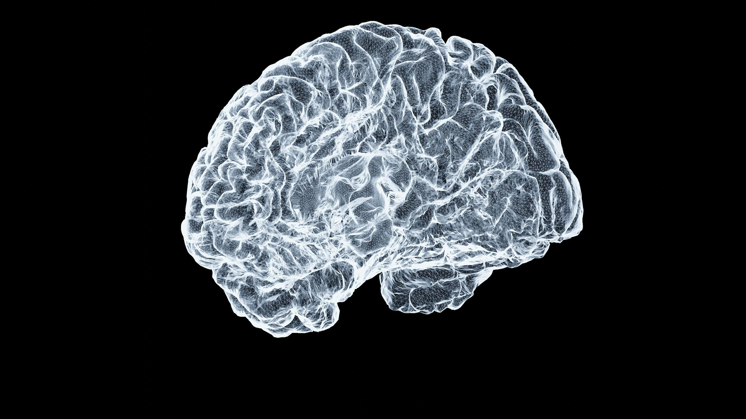 Digital illustration of a human brain with a glowing white outline on a black background.