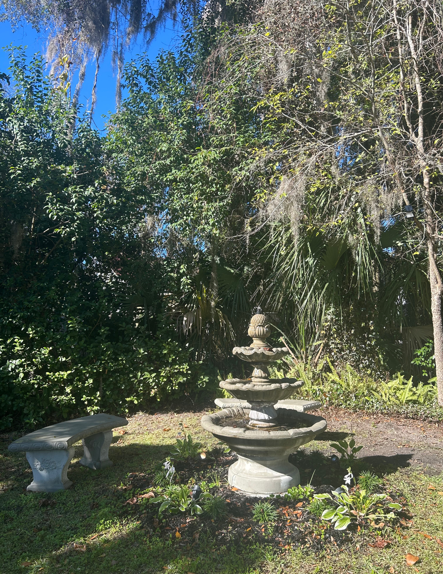 A garden with a tiered fountain, a bench, and various plants