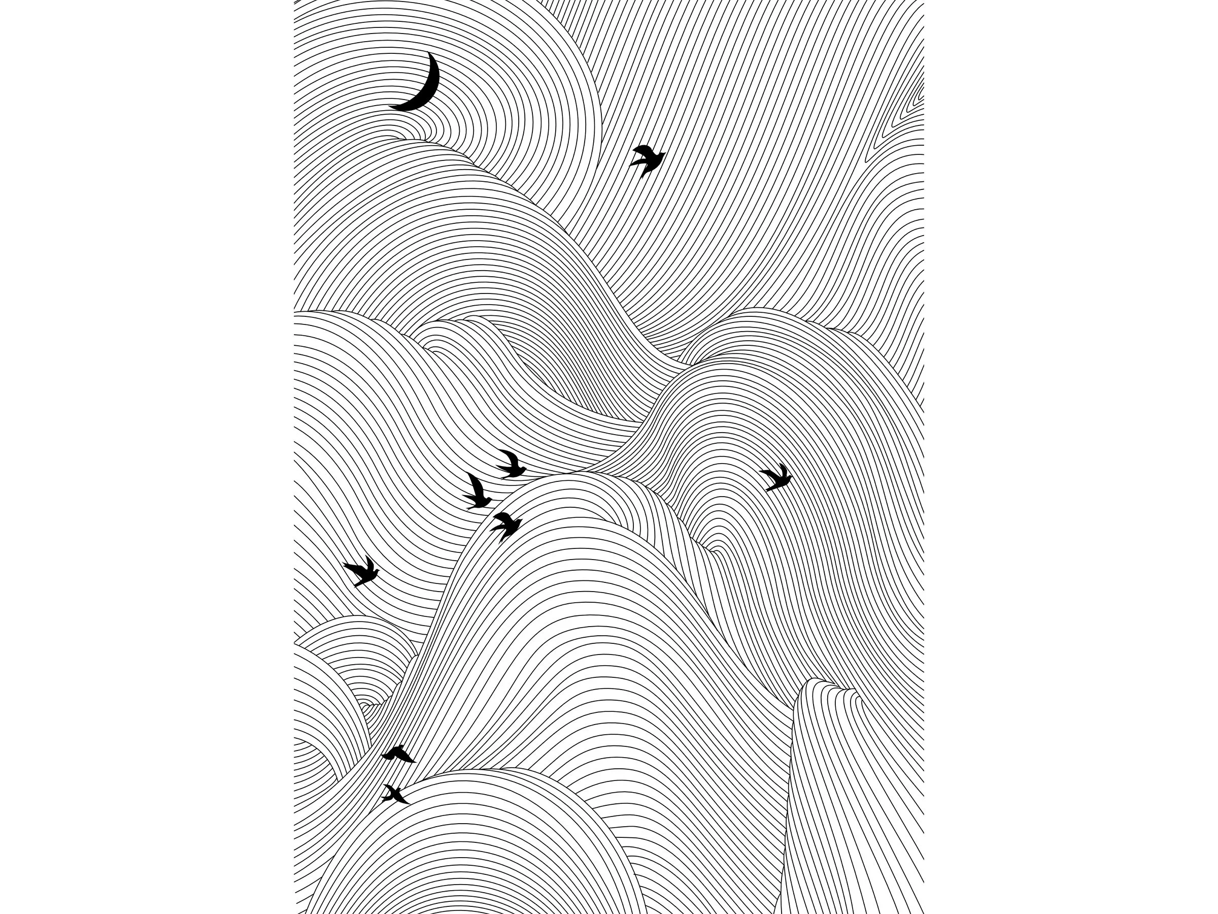 WindyZhu_yylz illustration_08.jpg