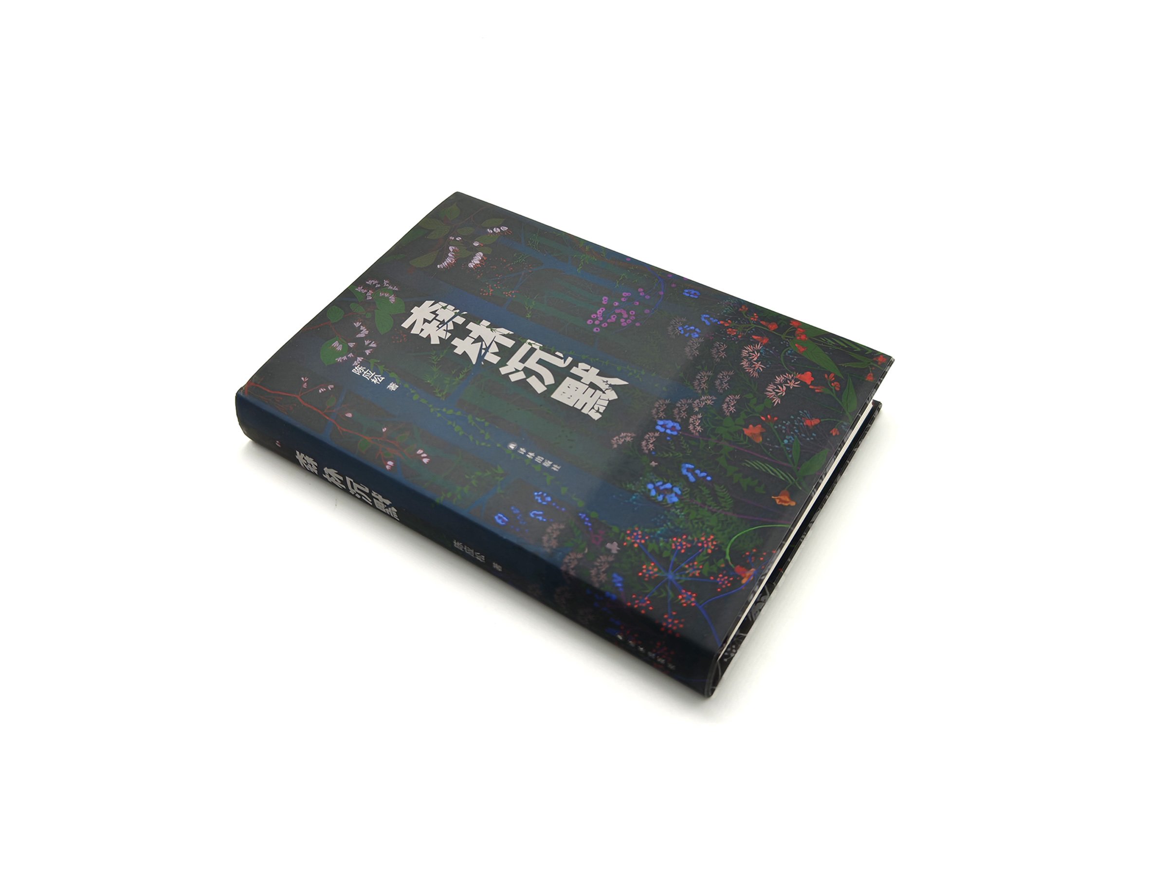 WindyZhu_Silent Forestillustration_04.jpg