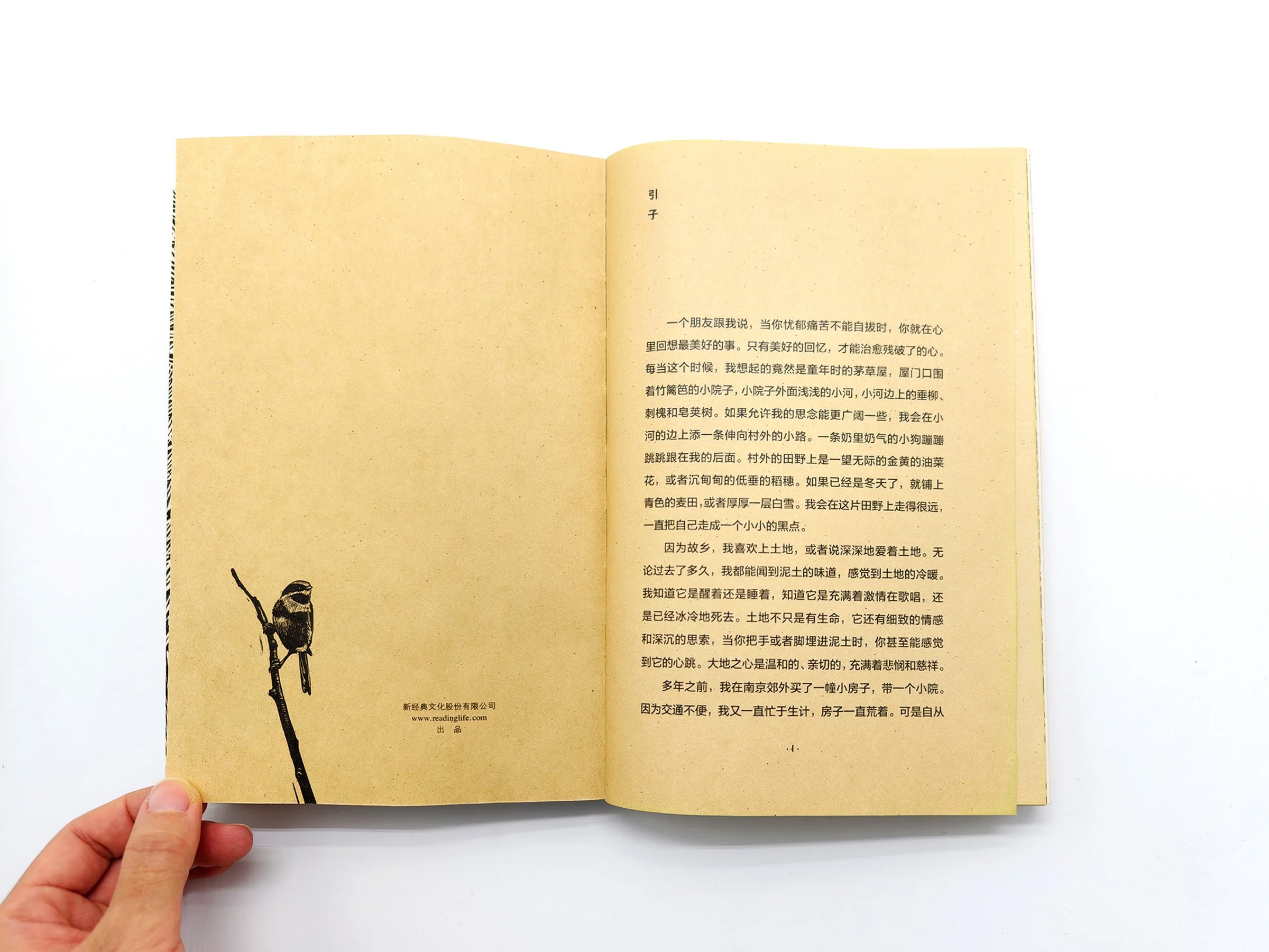 WindyZhu_One Sparrow Always Understands Anotherdesign_08.jpg