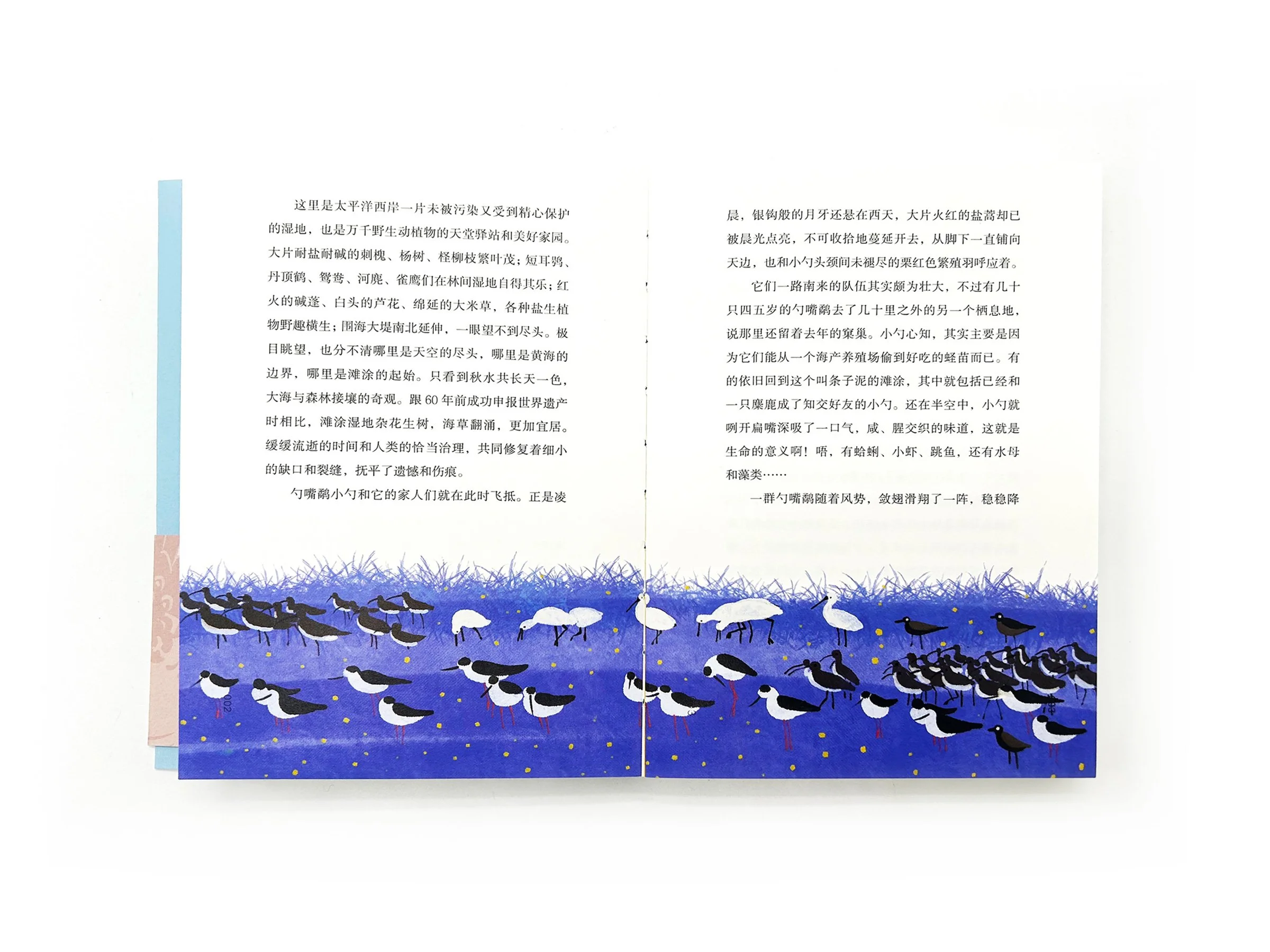 WindyZhu_SPOON IN THE SKYillustration_07.jpg