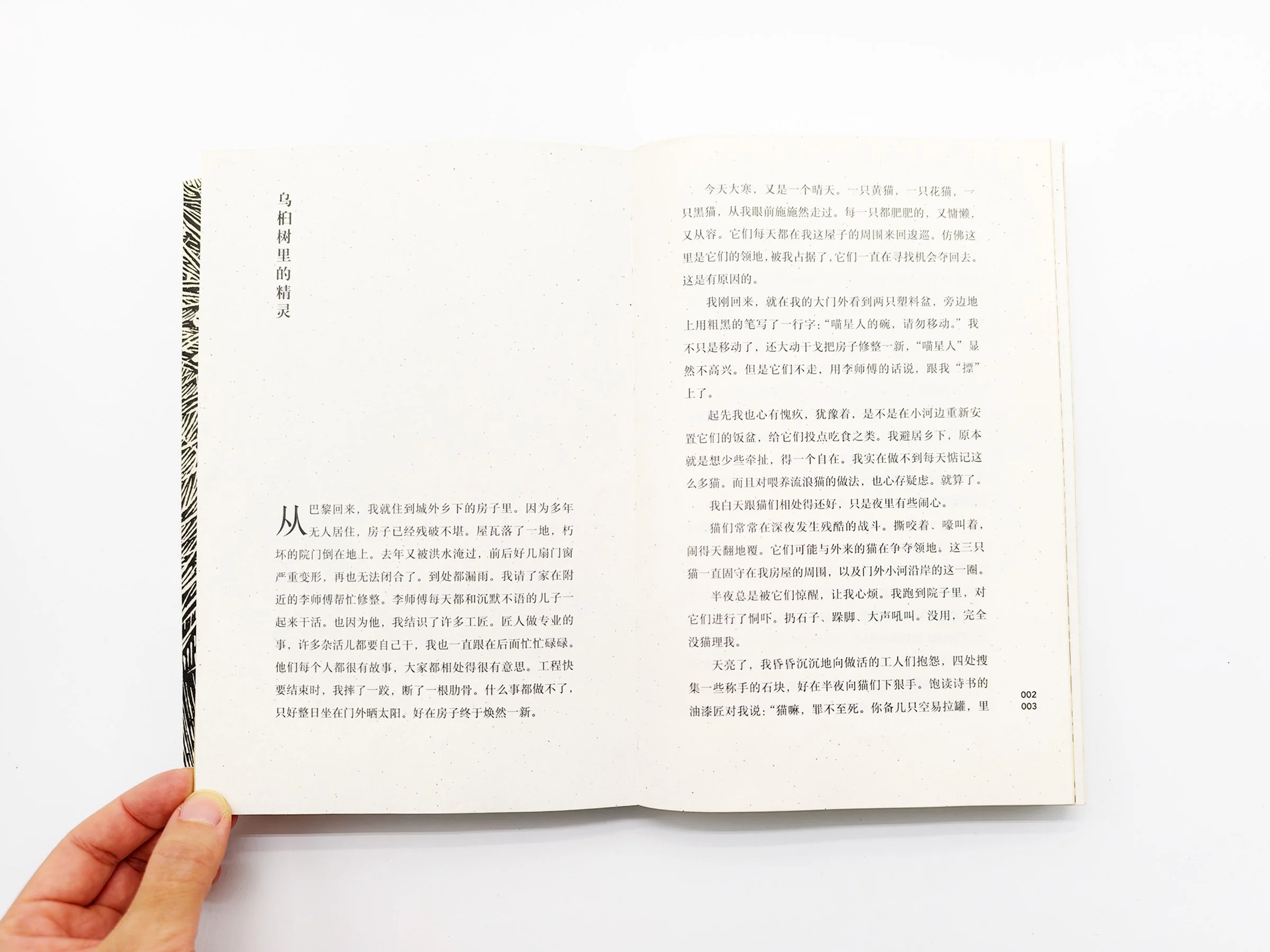 WindyZhu_One Sparrow Always Understands Anotherdesign_010.jpg